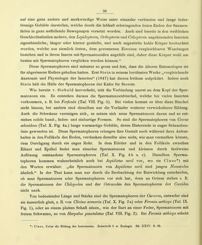 auf eine ganz andere und merkwürdige Weise unter einander verbinden und lange feder- förmige Gebilde darstellen, welche durch die lebhaft schwingenden freien Enden der Saamen- fäden in ganz aulfallende Bewegungen versetzt werden. Auch sind bereits in den weiblichen Geschlechtstheilen mehrer, den Lepidopteren, Orthopteren und Coleopteren angehörenden Insecten eigenthümliche, länger oder kürzer gestielte, und auch ungestielte hohle Körper beobachtet worden, welche aus ziemlich festen, dem geronnenen Eiweisse vergleichbaren Wandungen bestehen und in ihrem Innern mit Spermatozoiden angefüllt sind, daher diese Körper wohl am besten mit Spermatophoren verglichen werden können. Diese Spermatophoren sind mitunter so gross und fest, dass die älteren Entomologen sie für abgerissene Ruthen gehalten hatten. Erst Stein in seinem berühmten Werke „vergleichende Anatomie und Physiologie der Insecten (1847) hat diesen Irrthum aufgeklärt. Indess auch Stein hält die Hülle der Spermatophoren der Käfer für Secrete. Wie bereits v. Siebold hervorhebt, tritt die Verbindung zuerst an dem Kopf der Sper- matozoen ein. Es entstehen daraus die Spermatozoenbüschel, welche bei vielen Insecten vorkommen, z. B, bei Forßcula (Taf. VIII. Fig. '6). Bei vielen kommt es über diese Büschel nicht hinaus, bei andern sind dieselben nur die Vorläufer weiterer verwickelterer Bildung. Auch die Schwänze vereinigen sich, es setzen sich neue Spermatozoen daran und so ent- stehen solide band-, faden- und stabartige Formen. So sind die Spermatophoren von Coccus adonidum (Taf. X. Fig. 4a.) lange wurmartige Gebilde, deren Hinterende in enger Schrauben- linie gewunden ist. Diese Spermatophoren erlangen ihre Gestalt noch während ihres Aufent- haltes in den Follikeln des Hoden, verdanken dieselbe also nicht, wie man vermuthen könnte, dem Durchgang durch ein enges Rohr. In dem Eileiter und in den Follikeln zwischen Eihaut und Epithel findet man einzelne Spermatozoen und kleinere durch theilweise Auflösung entstandene Spermatophoren (Taf. X. Fig. 4 b u. c). Dieselben Sperma- tophoren kommen wahrscheinlich auch bei Aspidiotus nervi vor, wo sie Claus*) mit den Worten erwähnt: „die Spermatozoen von Aspidiotus nerii sind jungen Nematoden ähnlich. In der That kann man nur durch die Beobachtung der Entwicklung entscheiden, ob man Spermatozoen oder Spermatophoren vor sich hat, denn an Grösse stehen z. B. die Spermatozoen der Chilopoden und der Ostracoden den Spermatophoren der Cocciden nicht nach. Von bedeutender Länge und Stärke sind die Spermatophoren der Cursores, entweder sind sie äusserlich glatt, z. B. von Clivina arenaria (Taf. X. Fig. 2 a) oder Feronia aethiops (Taf. IX. Fig. 1), oder an einem platten Schaft sitzen, wie der Bart an einer Feder, Spermatozoen mit freiem Schwänze, so von Harpalus punctulatus (Taf. VIII. Fig. 2). Bei Feronia aethiops erhebt *) Claus, Ueber die Bildung des Insecteneies. Zeitschrift f. w. Zoologie. Bd. XXIV. S. 95.