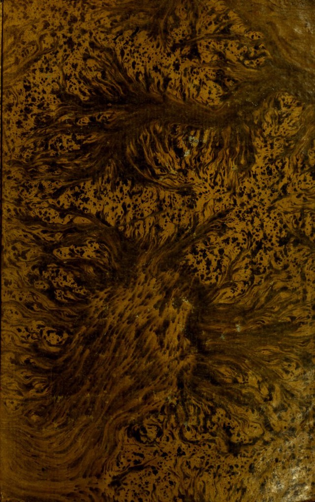 digitised image 1