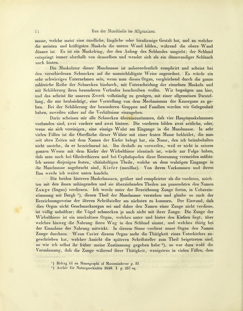 masse, welche meist eine rundliche, längliche oder birn förmige Gestalt hat, und an welcher die meisten und kräftigsten Muskeln die untere Wand bilden, während die obere Wand dünner ist. Es ist ein Muskelring, der den Anfang des Schlundes umgiebt; der Schlund entspringt immer oberhalb von demselben und wendet sich als ein dünnwandiger Schlauch nach hinten. Die Muskulatur dieser Mundmasse ist aufserordentlich complicirt und scheint bei den verschiedenen Schnecken auf die mannichfaltigste Weise angeordnet. Es würde ein sehr schwieriges Unternehmen sein, wenn man dieses Organ, vergleichend durch die ganze zahlreiche Reihe der Schnecken hindurch, mit Unterscheidung der einzelnen Muskeln und mit Schilderung ihres besonderen Verlaufes beschreiben wollte. Wir begnügen uns hier, und das scheint für unseren Zweck vollständig zu genügen, mit einer allgemeinen Darstel- lung, die nur beabsichtigt, eine Vorstellung von dem Mechanismus der Kauorgane zu ge- ben. Bei der Schilderung der besonderen Gruppen und Familien werden wir Gelegenheit haben, zuweilen näher auf die Verhältnisse einzugehen. Darin scheinen mir alle Schnecken übereinzustimmen, dafs vier Hauptmuskelmassen vorhanden sind, zwei vordere und zwei hintere. Die vorderen bilden zwei seitliche, oder, wenn sie sich vereinigen, eine einzige Wulst am Eingange in die Mund masse. In sehr vielen Fällen ist die Oberfläche dieser Wülste mit einer festen Masse bekleidet, die man seit alten Zeilen mit dem Kamen der Kiefer belegt hat, ein Name, den ich beizubehalten nicht anstehe, da er bezeichnend ist. Ihn deshalb zu verwerfen, weil er nicht in seinem ganzen Wesen mit dem Kiefer der Wirbelthiere identisch ist, würde zur Folge haben, dafs man auch bei Gliederthieren und bei Cephalopoden diese Benennung vermeiden müfste. Ich nenne diejenigen festen, chitinhaltigen Theile, welche an dem wulstigen Eingange in die Mundmasse angebracht sind, Kiefer (maxillae). Von ihrem Vorkommen und ihrem Bau werde ich weiter unten handeln. Die beiden hinteren Muskelmassen, gröfser und complicirter als die vorderen, möch- ten mit den ihnen anhängenden und sie überziehenden Theilen am passendsten den Namen Zunge (lingua) verdienen. Ich werde unter der Bezeichnung Zunge fortan, in Ueberein- stimmung mit Bergh 1), diesen Theil der Mundmasse verstehen und glaube so auch der Bezeichnungsweise der älteren Schriftsteller am nächsten zu kommen. Der Einwand, dafs dies Organ nicht Geschmacksorgan sei und daher den Namen einer Zunge nicht verdiene, ist völlig unhaltbar; die Vögel schmecken ja auch nicht mit ihrer Zunge. Die Zunge der Wirbelthiere ist ein muskulöses Organ, welches unter und hinter den Kiefern liegt, über welches hinweg die Nahrung ihren Weg in den Schlund nimmt, und welches thätig bei der Einnahme der Nahrung mitwirkt. In diesem Sinne verdient unser Organ den Namen Zunge durchaus. Wenn Cuvier diesem Organ mehr die Thätigkeit eines Unterkiefers zu- geschi'ieben hat, welcher Ansicht die späteren Schriftsteller zum Theil beigetreten sind, so wie ich selbst ihr früher meine Zustimmung gegeben habe 2), so war dazu wohl die Veranlassung, dafs die Zunge während ihrer Thätigkeit, wenigstens in vielen Fällen, dem ') Bidrag Iii en Monographi af Marseniaderne p. 35.