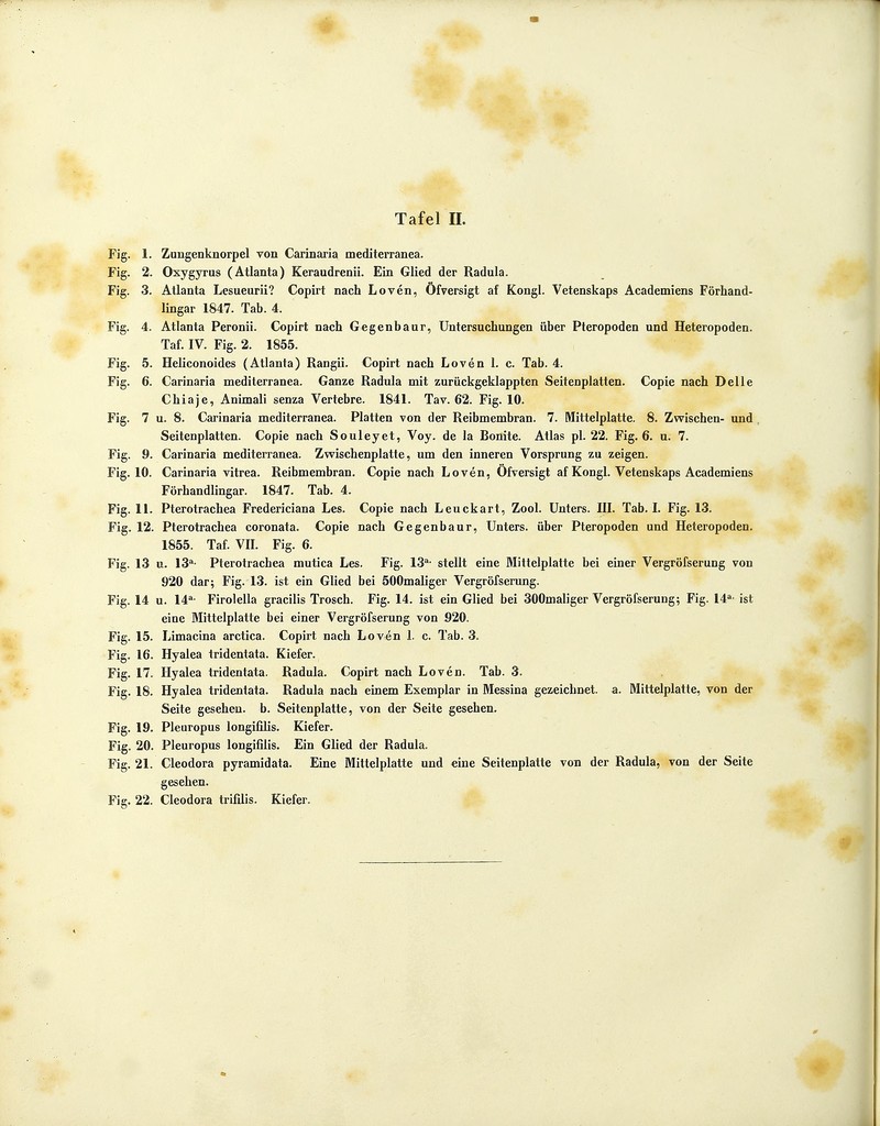 Fig. 1. Zungenknorpel von Carinaria mediterranea. Fig. 2. Oxygyrus (Atlanta) Keraudrenii. Ein Glied der Radula. Fig. 3. Atlanta Lesueurii? Copirt nach Loven, Öfversigt af Kongl. Vetenskaps Academiens Förhand- lingar 1847. Tab. 4. Fig. 4. Atlanta Peronii. Copirt nach Gegenbaur, Untersuchungen über Pteropoden und Heteropoden. Taf. IV. Fig. 2. 1855. Fig. 5. Heliconoides (Atlanta) Rangii. Copirt nach Loven 1. c. Tab. 4. Fig. 6. Carinaria mediterranea. Ganze Radula mit zurückgeklappten Seitenplatten. Copie nach Delle Chiaje, Animali senza Vertebre. 1841. Tav. 62. Fig. 10. Fig. 7 u. 8. Carinaria mediterranea. Platten von der Reibmembran. 7. Mittelplatte. 8. Zwischen- und Seiten platten. Copie nach Souleyet, Voy. de la Bonite. Atlas pl. 22. Fig. 6. u. 7. Fig. 9. Carinaria mediterranea. Zwischenplatte, um den inneren Vorsprung zu zeigen. Fig. 10. Carinaria vitrea. Reibmembran. Copie nach Loven, Öfversigt af Kongl. Vetenskaps Academiens Förhandlingar. 1847. Tab. 4. Fig. 11. Pterotrachea Fredericiana Les. Copie nach Leuckart, Zool. Unters. III. Tab. I. Fig. 13. Fig. 12. Pterotrachea coronata. Copie nach Gegenbaur, Unters, über Pteropoden und Heteropoden. 1855. Taf. VII. Fig. 6. Fig. 13 u. 13a- Pterotrachea mutica Les. Fig. 13a- stellt eine Mittelplatte bei einer Vergrößerung von 920 dar; Fig. 13. ist ein Glied bei 500maliger Vergröfserung. Fig. 14 u. 14a- Firolella gracilis Trosch. Fig. 14. ist ein Glied bei 300maliger Vergröfserung; Fig. 14a- ist eine Mittelplatte bei einer Vergröfserung von 920. Fig. 15. Limacina arctica. Copirt nach Loven 1. c. Tab. 3. Fig. 16. Hyalea tridentata. Kiefer. Fig. 17. Hyalea tridentata. Radula. Copirt nach Loven. Tab. 3. Fig. 18. Hyalea tridentata. Radula nach einem Exemplar in Messina gezeichnet, a. Mittelplatte, von der Seite gesehen, b. Seitenplatte, von der Seite gesehen. Fig. 19. Pleuropus longifilis. Kiefer. Fig. 20. Pleuropus longifilis. Ein Glied der Radula. Fig. 21. Cleodora pyramidata. Eine Mittelplatte und eine Seitenplatte von der Radula, von der Seite gesehen. Fig. 22. Cleodora trifilis. Kiefer.