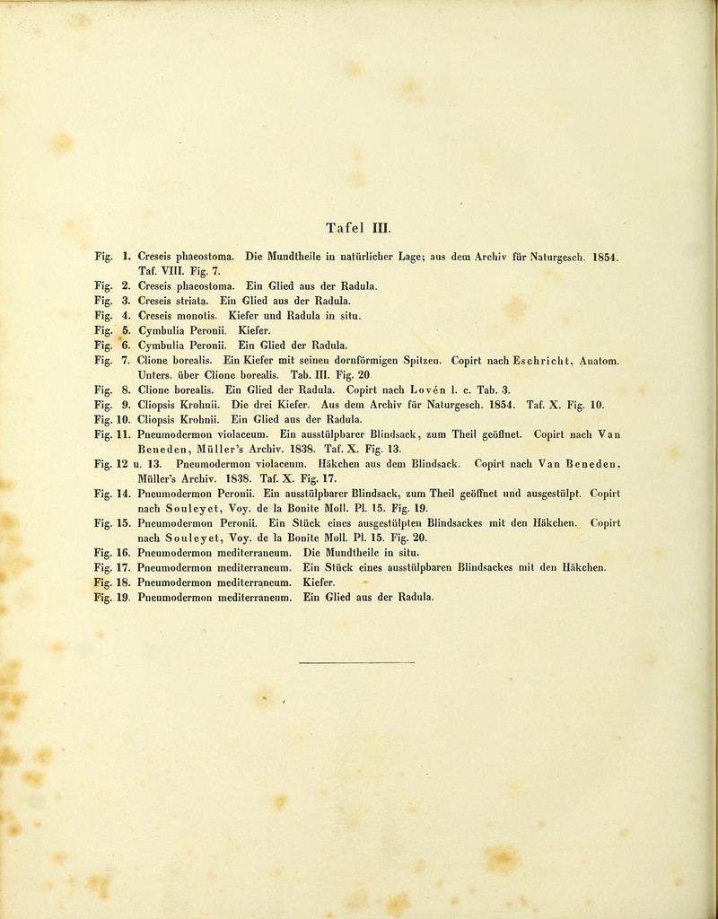 Fig. 1. Creseis phaeostoma. Die Mundtheile in natürlicher Lage; aus dem Archiv für Naturgesch. 1854. Taf. VIII. Fig. 7. Fig. 2. Creseis phaeostoma. Ein Glied aus der Radula. Fig. 3. Creseis striata. Ein Glied aus der Radula. Fig. 4. Creseis monotis. Kiefer und Radula in situ. Fig. 5. Cymbulia Peronii. Kiefer. Fig. 6. Cymbulia Peronii. Ein Glied der Radula. Fig. 7. Clione borealis. Ein Kiefer mit seinen dornförmigen Spitzen. Copirt nach Eschricht, Anatom. Unters, über Clione borealis. Tab. III. Fig. 20 Fig. 8. Clione borealis. Ein Glied der Radula. Copirt nach Loven 1. c. Tab. 3. Fig. 9. Cliopsis Krohnii. Die drei Kiefer. Aus dem Archiv für Naturgesch. 1854. Taf. X. Fig. 10. Fig. 10. Cliopsis Krohnii. Ein Glied aus der Radula. Fig. 11. Pneumodermon violaceum. Ein ausstülpbarer Blindsack, zum Theil geöffnet. Copirt nach Van Beneden, Müller's Archiv. 1838. Taf. X. Fig. 13. Fig. 12 u. 13. Pneumodermon violaceum. Häkchen aus dem Blindsack. Copirt nach Van Beneden. Müller's Archiv. 1838. Taf. X. Fig. 17. Fig. 14. Pneumodermon Peronii. Ein ausstülpbarer Blindsack, zum Theil geöffnet und ausgestülpt. Copirt nach Souleyet, Voy. de la Bonite Moll. PI. 15. Fig. 19. Fig. 15. Pneumodermon Peronii. Ein Stück eines ausgestülpten Blindsackes mit den Häkchen. Copirt nach Souleyet, Voy. de la Bonite Moll. PI. 15. Fig. 20. Fig. 16. Pneumodermon mediterraneum. Die Mundtheile in situ. Fig. 17. Pneumodermon mediterraneum. Ein Stück eines ausstülpbaren Blindsackes mit den Häkchen. Fig. 18. Pneumodermon mediterraneum. Kiefer. Fig. 19. Pneumodermon mediterraneum. Ein Glied aus der Radula.