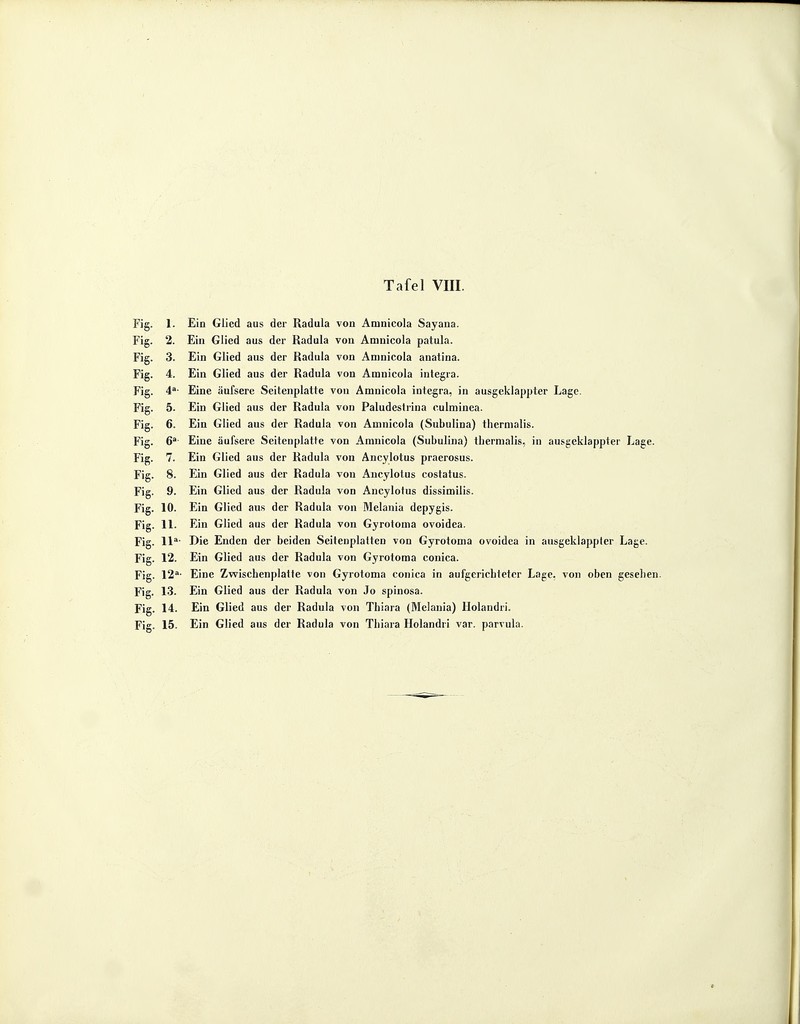 Fig. 1. Ein Glied aus der Radula von Amnicola Sayana. Fig. 2. Ein Glied aus der Radula von Amnicola patula. Fig. 3. Ein Glied aus der Radula von Amnicola anatina. Fig. 4. Ein Glied aus der Radula von Amnicola integra. Fig. 4a- Eine äufsere Seitenplatte von Amnicola integra, in ausgeklappter Lage. Fig. 5. Ein Glied aus der Radula von Paludestrina culminea. Fig. 6. Ein Glied aus der Radula von Amnicola (Subulina) thermalis. Fig. 6a Eine äufsere Seitenplatte von Amnicola (Subulina) tbermalis, in ausgeklappter Lage. Fig. 7. Ein Glied aus der Radula von Ancylotus praerosus. Fig. 8. Ein Glied aus der Radula von Ancylotus costatus. Fig. 9. Ein Glied aus der Radula von Ancylotus dissimilis. Fig. 10. Ein Glied aus der Radula von Melania depygis. Fig. 11. Ein Glied aus der Radula von Gyrotoma ovoidea. Fig. lla- Die Enden der beiden Seitenplatten von Gyrotoma ovoidea in ausgeklappter Lage. Fig. 12. Ein Glied aus der Radula von Gyrotoma conica. Fig. 12a' Eine Zwiscbenplatte von Gyrotoma conica in aufgericbteter Lage, von oben geseben. Fig. 13. Ein Glied aus der Radula von Jo spinosa. Fig. 14. Ein Glied aus der Radula von Thiara (Melania) Holandri. Fig. 15. Ein Glied aus der Radula von Tbiara Holandri var. parvula.