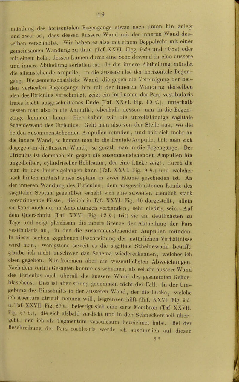 miindung des horizontalen Bogengangs etwas nach unten hin anlegt und zwar so, dass dessen äussere Wand mit der inneren Wand des- selben verschmilzt. Wir haben es also mit einem Doppelrohr mit einer gemeinsamen Wandung zu thun (Taf. XXVI. Figg. 9 de und 10c«) oder mit einem Rohr, dessen Lumen durch eine Scheidewand in eine äussere und innere Abtheilung zerfallen ist. In die innere Abtheilung mündet die alleinstehende Ampulle, in die äussere also der horizontale Bogen- gang. Die gemeinschaftliche Wand, die gegen die Vereinigung der bei- den verticalen Bogengänge hin mit der inneren Wandung derselben also desUtriculus verschmilzt, zeigt ein im Lumen der Pars vestibularis freies leicht ausgeschnittenes Ende (Taf. XXVI. Fig. 10 d.), unterhalb dessen man also in die Ampulle, oberhalb dessen man in die Bogen- gänge kommen kann. Hier haben wir die unvollständige sagittale Scheidewand des Utriculus. Geht man also von der Stelle aus, wo die beiden zusammenstehenden Ampullen münden , und hält sich mehr an die innere Wand, so kommt man in die frontale Ampulle, hält man sich dagegen an die äussere Wand, so geräth man in die Bogengänge. Der Utriculus ist demnach ein gegen die zusammenstehenden Ampullen hin ungeteilter, cylindrischer Hohlraum, der eine Lücke zeigt, durch die man in das Innere gelangen kann (Taf. XXVI. Fig. 9 h.) und welcher nach hinten mittelst eines Septum in zwei Räume geschieden ist. An der inneren Wandung des Utriculus, dem ausgeschnittenen Rande des sagittalen Septum gegenüber erhebt sich eine zuweilen ziemlich stark vorspringende Firste, die ich in Taf. XXVI. Fig. 10 dargestellt, allein sie kann auch nur in Andeutungen vorhanden, sehr niedrig sein.- Auf dem Querschnitt (Taf. XXVI. Fig. 12 h.) tritt sie am deutlichsten zu Tage und zeigt gleichsam die innere Grenze der Abtheilung der Pars vestibularis an, in der die zusammenstehenden Ampullen münden. In dieser soeben gegebenen Beschreibung der natürlichen Verhältnisse wird man, wenigstens soweit es die sagittale Scheidewand betrifft, glaube ich nicht unschwer das Schema wiedererkennen, weichesich oben gegeben. Nun kommen aber die wesentlichsten Abweichungen. Nach dem vorhin Gesagten könnte es scheinen, als sei die äussere Wand des Utriculus auch überall die äussere Wand des gesammten Gehör— bläschens. Dies ist aber streng genommen nicht der Fall, ln der Um- gebung des Einschnitts in der äusseren Wand, der die Lücke, welche ich Apertura utriculi nennen will, begrenzen hilft (Taf. XXVI. Fig. 9 h. u. Taf. XXVII. Fig. 27 e.) befestigt sich eine zarte Membran (Taf. XXVII. Fig. 27 b.), die sich alsbald verdickt und in den Schneckenlheil über- geht, den ich als Tegmentum vasculosum bezeichnet habe. Bei der Beschreibung der Pars eocblearis werde ich ausführlich auf diesen 2 *