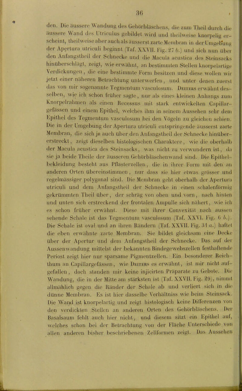 den. Die äussere Wandung des Gehörbläschens, die zum Theil durch die äussere Wand des Utrieulus gebildet wird und ll.eilweise knorpelig er- scheint, theilweis«.* aber auch als äusserst zarte Membran in der Hingebung der Apertura utriculi beginnt (Tab XXVII. Fig. 27 b.) und sich nun über den Anlangstheil der Schnecke und die Macula acustica des Steinsacks hinüberschlägl, zeigt, wie erwähnt, an bestimmten Stellen knorpelartige Verdickungen , die eine bestimmte Form besitzen und diese wollen wir jetzt einei näheren Betrachtung unterwerfen, und unter denen zuerst das von mir sogenannte Tegmentum vasculosum. Deiters erwähnt des- selben, wie ich schon früher sagte, nur als eines kleinen Anhangs zum Knorpelrahmen als einen Recessus mit stark entwickelten Capillar- getässen und einem Epithel, welches ihm in seinem Aussehen sehr dem Epithel des Tegmentum vasculosum bei den Vögeln zu gleichen schien. Die in der Umgebung der Aperlura utriculi entspringende äusserst zarte Membran, die sich ja auch über den Anlangstheil der Schnecke hinüber- erstreckt, zeigt dieselben histologischen Charaktere, wie die oberhalb der Macula acustica des Steinsacks, was nicht zu verwundern ist, da sie ja beide Theile der äusseren Gehörbläschenwand sind. Die Epithel- bekleidung besteht aus Pflasterzellen, die in ihrer Form mit den an anderen Orten übereinslimmen, nur dass sie hier etwas grösser und regelmässiger polygonal sind. Die Membran geht oberhalb der Apertura utriculi und dem Anlangstheil der Schnecke in einen schalenförmig gekrümmten Theil über, der schräg von oben und vorn, nach hinten und unten sich erstreckend der frontalen Ampulle sich nähert, wie ich es schon früher erwähnt. Diese mit ihrer Convexität nach aussen sehende Schale ist das Tegmentum vasculosum (Taf. XXVI. Fig. ü /;.). Die Schale ist oval und an ihren Rändern (Taf. XXVII. Fig. 31 a.) haftet die eben erwähnte zarte Membran. Sie bildet gleichsam eine Decke über der Apertur und dem Anfangslheil der Schnecke. Das aul der Aussenwandung mittelst der bekannten Bindegewebszellen festhaltende Periost zeigt hier nur sparsame Pigmentzellen. Ein besonderer Reich- thum an Capillargefässen, wie Deiters es erwähnt, ist mir nicht aul- gefallen, doch standen mir keine injicirten Präparate zu Gebote. Die Wandung, die in der Mitteam stärksten ist (Taf. XXVII. Fig. 29), nimmt allmählich gegen die Ränder der Schale ab und verliert sich in die dünne Membran. Es ist hier dasselbe Yerhältniss wie beim Sleinsack. Die Wand ist knorpelartig und zeigt histologisch keine Differenzen von den verdickten Stellen an anderen Orten des Gehörbläschens. Der Basalsaum fehlt auch hier nicht, und diesem sitzt ein Epithel aut, welches schon bei der Betrachtung von der Fläche Unterschiede von allen anderen bisher beschriebenen Zellformen zeigt. Das Aussehen