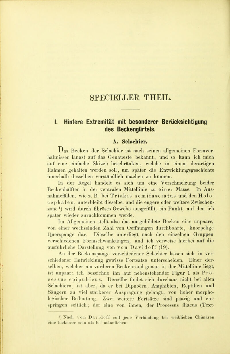 SPECIELLER THEIL. I. Hintere Extremität mit besonderer Berücksichtigung des Becl<engürtels. A. Selachier. Das Becken der Selachier ist nach seinen allgemeinen Formver- hältnissen längst auf das Genaueste bekannt, und so kann ich mich auf eine einfache Skizze beschränken, welche in einem derartigen Rahmen gehalten werden soll, um später die Entwicklungsgeschichte innerhalb desselben verständlich machen zu können. In der Regel handelt es sich um eine Verschmelzung beider Beckenhälften in der ventralen Mittellinie zu einer Masse. In Aus- nahmefällen, wie z. B. bei Triakis semifasciatus und den Hol o- cephalen, unterbleibt dieselbe, und die engere oder weitere Zwischen- zone ^) wird durch fibröses Gewebe ausgefüllt, ein Punkt, auf den ich später wieder zurückkommen werde. Im Allgemeinen stellt also das ausgebildete Becken eine unpaare, von einer wechselnden Zahl von Oeffnungen durchbohrte, knorpelige Querspange dar. Dieselbe unterliegt nach den einzelnen Gruppen verschiedenen Formschwankungen, und ich verweise hierbei auf die ausführliche Darstellung von von Davidoff (19). An der Beckenspange vei'schiedener Selachier lassen sich in ver- schiedener Entwicklung gewisse Fortsätze unterscheiden. Einer der- selben, welcher am vorderen Beckenrand genau in der Mittellinie liegt, ist Tinpaar; ich bezeichne ihn auf nebenstehender Figur 1 als Pro- cessus cpipubicus. Derselbe findet sich durchaus nicht bei allen Selacliiern, ist aber, da er bei Dipnoern, Amphibien, Reptilien und Säugern zu viel stärkerer Ausprägung gelangt, von hoher morpho- logischer Bedeutung. Zwei weitere Fortsätze sind paarig und ent- springen seitlich; der eine von ihnen, der Processus iliacus (Text- ') Nach von Davidoff soll jene Verbindung bei weiblichen Chimären eine lockerere sein als bei männlichen.