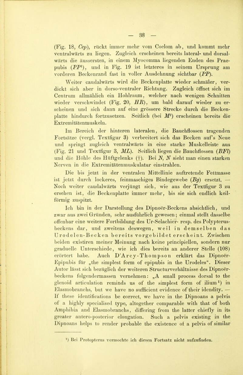 (Fig. 18, Cep), rückt immer mehr vom Coelom ab, und kommt mehr ventralwärts zu liegen. Zugleich erscheinen bereits lateral- und dorsal- wärts die äussersten, in einem Myocomma liegenden Enden des Prae- pubis (PP^), und in Fig. 19 ist letzteres in seinem Ursprung am vorderen Beckenrand fast in voller Ausdehnung sichtbar (PP). Weiter caudalwärts wird die Beckenplatte wieder schmäler, ver- dickt sich aber in dorso-ventraler Richtung. Zugleich öffnet sich im Centrum allmählich ein Hohlraum, welcher nach wenigen Schnitten wieder verschwindet (Fig. 20, HR), um bald darauf wieder zu er- scheinen und sich dann auf eine grössere Strecke durch die Becken- platte hindurch fortzusetzen. Seitlich (bei M^) erscheinen bereits die Extremitätenmuskeln. Im Bereich der hinteren lateralen, die Bauchflossen tragenden Fortsätze (vergl. Textfigur 3) verbreitert sich das Becken auf's Neue und springt zugleich ventralwärts in eine starke Muskelleiste aus (Fig. 21 und Textfigur 3, ML). Seitlich liegen die Bauchflossen (BFl) und die Höhle des Hüftgelenks (f). Bei N, N sieht man einen starken Nerven in die Extremitätenmuskulatur einstrahlen. Die bis jetzt in der ventralen Mittellinie auftretende Fettmasse ist jetzt durch lockeres, feinmaschiges Bindegewebe (JBg) ersetzt. — Noch weiter caudalwärts verjüngt sich, wie aus der Textfigur 3 zu ersehen ist, die Beckenplatte immer mehr, bis sie sich endlich keil- förmig zuspitzt. Ich bin in der Darstellung des Dipnoer-Beckens absichtlich, und zwar aus zwei Gründen, sehr ausführlich gewesen: einmal stellt dasselbe offenbar eine weitere Fortbildung des Ur-Selachier- resp. des Polypterus- beckens dar, und zweitens deswegen, weil in demselben das Urodelen-Becken bereits vorgebildet erscheint. Zwischen beiden existiren meiner Meinung nach keine principiellen, sondern nur graduelle Unterschiede, wie ich dies bereits an anderer Stelle (108) erörtert habe. Auch D'Arcy-Thompson erklärt das Dipnoer- Epipubis für „the siraplest form of epipubis in the Urodeles. Dieser Autor lässt sich bezüglich der weiteren Structurverhältnisse des Dipnoei*- beckens folgendermassen vernehmen: „A small process dorsal to the glenoid articulation reminds us of the simplest form of ilium^) in Elasniobranchs, but we have no sufficient evidence of their idendity. — If these identifications be correct, we have in the Dipnoans a pelvis of a highly specialised type, altogether comparable with that of both Amphibia and Elasniobranchs, differing from the latter chiefly in its greater antero-posterior elongation. Such a pelvis existing in the Dipnoans helps to render probable the existence of a pelvis of similar ') Ik'i Protoptcrus voi'mochtc ich dieson Fortsatz nicht aufzufinden.