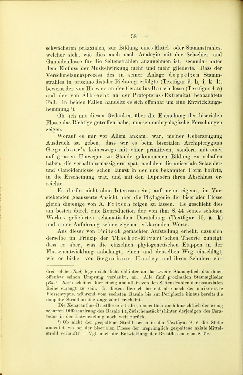 schwächeren präaxialen, zur Bildung eines Mittel- oder Stammstrahles, welcher sich, wie dies auch nach Analogie mit der Selachier- und Ganoidenflosse für die Seitenstrahlen anzunehmen ist, secundär unter dem Einfluss der Muskelwirkung mehr und mehr gliederte. Dass der Verschmelzungsprozess des in seiner Anlage doppelten Stamm- strahles in proximo-distaler Richtung erfolgte (Textfigur 9, h, i, k, 1), beweist der von Howes an der Ceratodus-B auch flösse (Textfigur 4, a) und der von Alb recht an der Protopterus - Extremität beobachtete Fall. In beiden Fällen handelte es sich off'enbar um eine Entwicklungs- hemmung ^). Ob ich mit diesen Gedanken über die Entstehung der biserialen Flosse das Richtige getroffen habe, müssen embryologische Forschungen zeigen. Worauf es mir vor Allem ankam, war, meiner Ueberzeiigung Ausdruck zu geben, dass wir es beim biserialen Archipterygium Gegenbaur's keineswegs mit einer primitiven, sondern mit einer auf grossen Umwegen zu Stande gekommenen Bildung zu schaffen haben, die verhältnissmässig erst spät, nachdem die uniseriale Selachier- und Ganoidenflosse schon längst in der uns bekannten Form florirte, in die Erscheinung trat, und mit den Dipnoern ihren Abschluss er- reichte. Es dürfte nicht ohne Interesse sein, auf meine eigene, im Vor- stehenden geäusserte Ansicht über die Phylogenie der biserialen Flosse gleich diejenige von A, Fritsch folgen zu lassen. Es geschieht dies am besten durch eine Reproduction der von ihm S. 44 seines schönen Werkes gelieferten schematischen Darstellung (Textfigur 10, a—k) und unter Anführung seiner eigenen erklärenden Worte. Aus dieser von Fritsch gemachten Aufstellung erhellt, dass sich derselbe im Prinzip der Thacher-Mivart' sehen Theorie zuneigt, dass er aber, was die einzelnen phylogenetischen Etappen in der Flossenentwicklung anbelangt, einen und denselben Weg einschlägt, wie er bisher von Gegenbaur, Huxley und ihren Schülern ein- drei solche (Bad) legen sich dicht dahinter an das zweite Stammglied, das ihnen offenbar seinen Ursprung verdankt, an. Alle fünf proximalen Stammglieder (^Bas^—Bas^) scheinen hier einzig und allein von den Seitenstrahlen der postaxialcn Reihe erzeugt zu sein. In diesem Bereich besteht also noch der uniseriale Flossentypus, M'ährend vom sechsten Basale bis zur Peripherie hinaus bereits die doppelte Strahlenreihe angebahnt erscheint. Die Xenacanthus-Brustflosse ist also, namentlich auch hinsichtlich der wenig scharfen Differenzirung des Basale 1 („Zwischenstück) hinter derjenigen des Cera- todus in der Entwickelung noch weit zurück. ') Ob nicht der gespaltene Strahl bei * in der Textfigur 9, e die Stelle andeutet, m'o bei der biserialen Flosse der ursprünglich gespaltene axiale Mittel- stvahl verläuft? — Vgl. auch die Entwicklung der Brustflossen vom Stör.