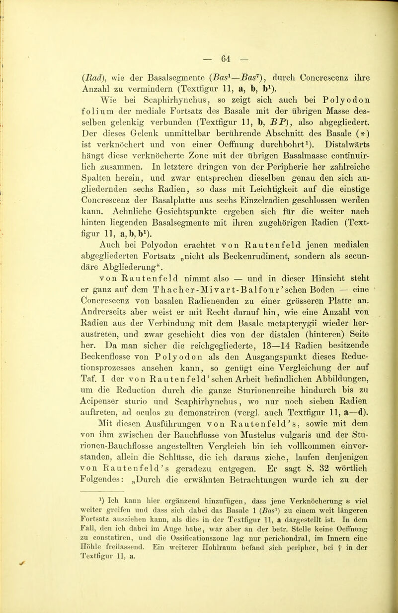 (Rad), wie der Basalsegmente (Bas^—Bas'^), durch Concrescenz ihre Anzahl zu vermindern (Textfigur 11, a, b, Ib^). Wie bei Scaphirhynchus, so zeigt sich auch bei Polyodon folium der mediale Fortsatz des Basale mit der übrigen Masse des- selben gelenkig verbunden (Textfigur 11, }), BP), also abgegliedert. Der dieses Gelenk unmittelbar berührende Abschnitt des Basale (*) ist verknöchert und von einer Oeffnung dui'chbohrt*). Distalwärts hängt diese verknöcherte Zone mit der übrigen Basalmasse continuir- lich zusammen. In letztere dringen von der Peripherie her zahlreiche Spalten herein, und zwar entsprechen dieselben genau den sich an- gliedernden sechs Radien, so dass mit Leichtigkeit auf die einstige Concrescenz der Basalplatte aus sechs Einzelradien geschlossen werden kann. Aehnliche Gesichtspunkte ergeben sich für die weiter nach hinten liegenden Basalsegmente mit ihren zugehörigen Radien (Text- figur 11, a, b,b^). Auch bei Polyodon erachtet von Rautenfeld jenen medialen abgegliederten Fortsatz „nicht als Beckenrudiment, sondern als secun- däre Abgliederung. von Rautenfeld nimmt also — und in dieser Hinsicht steht er ganz auf dem Thacher-Mivar t-Balfour' sehen Boden — eine Concrescenz von basalen Radienenden zu einer grösseren Platte an. Andrerseits aber weist er mit Recht darauf hin, wie eine Anzahl von Radien aus der Vei-bindung mit dem Basale metapterygii wieder her- austreten, und zwar geschieht dies von der distalen (hinteren) Seite her. Da man sicher die reichgegliederte, 13—14 Radien besitzende Beckenflosse von Polyodon als den Ausgangspunkt dieses Reduc- tionsprozesses ansehen kann, so genügt eine Vergleichung der auf Taf. I der von Rautenfeld'sehen Arbeit befindlichen Abbildungen, um die Reduction durch die ganze Sturionenreihe hindurch bis zu Acipenser sturio und Scaphirhynchus, wo nur noch sieben Radien auftreten, ad oculos zu demonstriren (vergl. auch Textfigur 11, a—d). Mit diesen Ausführungen von Rautenfeld's, sowie mit dem von ihm zwischen der Bauchflosse von Mustelus vulgaris und der Stu- rionen-Bauchflosse angestellten Vergleich bin ich vollkommen einver- standen, allein die Schlüsse, die ich daraus ziehe, laufen denjenigen von R a u t e n f e 1 d ' s geradezu entgegen. Er sagt S. 32 wörtlich Folgendes: „Durch die erwähnten Betrachtungen wurde ich zu der 1) Ich kann hier ergänzend hinzufügen, dass jene Verknöcherung * viel weiter greifen und dass sich dabei das Basale 1 (Bas^) zu einem weit längeren Fortsatz ausziehen kann, als dies in der Textfigur 11, a dargestellt ist. In dem Fall, den ich dabei im Auge habe, war aber an der betr. Stelle keine Oeffnung zu constatiren, und die Ossificationszonc lag nur perichondral, im Innern eine Höhle freilassend. Ein weiterer Hohlraum befand sich peripher, bei f in der Textfigur 11, a.