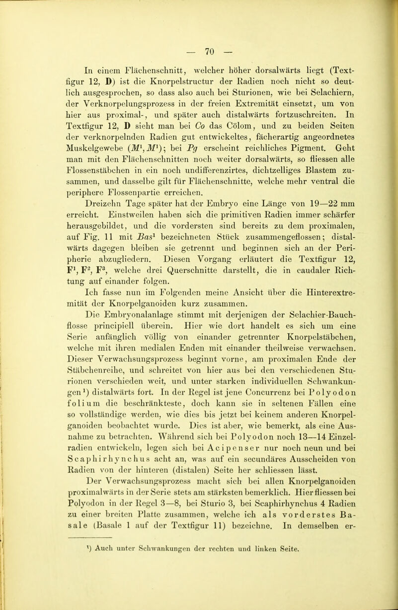 In einem Flächenschnitt, welcher höher dorsalwärts liegt (Text- figur 12, D) ist die Knorpelstructur der Radien noch nicht so deut- lich ausgesprochen, so dass also auch bei Sturionen, wie bei Selachiern, der Verknorpelungsprozess in der freien Extremität einsetzt, um von hier aus proximal-, und später auch distalwärts fortzuschreiten. In Textfigur 12, D sieht man bei Co das Cölom, und zu beiden Seiten der verknorpelnden Radien gut entwickeltes, fächerartig angeordnetes Muskelgewebe (M\M^)-^ bei Pg erscheint reichliches Pigment. Geht man mit den Flächenschnitten noch weiter dorsalwärts, so fliessen alle Flossenstäbchen in ein noch undifFerenzirtes, dichtzelliges Blastem zu- sammen, und dasselbe gilt für Flächenschnitte, welche mehr ventral die periphere Flossenpartie erreichen. Dreizehn Tage später hat der Embryo eine Länge von 19—22 mm erreicht. Einstweilen haben sich die primitiven Radien immer schärfer herausgebildet, und die vordersten siud bereits zu dem proximalen, auf Fig. 11 mit Bas^ bezeichneten Stück zusammengeflossen; distal- wärts dagegen bleiben sie getrennt und beginnen sich an der Peri- pherie abzugliedern. Diesen Vorgang erläutert die Texttigur 12, F', F^, F^, welche drei Querschnitte darstellt, die in caudaler Rich- tung auf einander folgen. Ich fasse nun im Folgenden meine Ansicht über die Hinterextre- mität der Knorpelganoiden kurz zusammen. Die Embryonalanlage stimmt mit derjenigen der Selachier-Bauch- flosse principiell überein. Hier wie dort handelt es sich um eine Serie anfänglich völlig von einander getrennter Knorpelstäbchen, welche mit ihren medialen Enden mit einander theilweise verwachsen. Dieser Verwaclisungsprozess beginnt vorne, am proximalen Ende der Stäbchenreihe, und schreitet von hier aus bei den verschiedenen Stu- rionen verschieden weit, und unter starken individuellen Schwankun- gen^) distalwärts fort. In der Regel ist jene Concurrenz bei Polyodon foliura die beschränkteste, doch kann sie in seltenen Fällen eine so vollständige werden, wie dies bis jetzt bei keinem anderen Knorpel- ganoiden beobachtet wurde. Dies ist aber, wie bemerkt, als eine Aus- nahme zu betrachten. Während sich bei Polyodon noch 13—14 Einzel- radien entwickeln, legen sich bei Aeipenser nur noch neun und bei S c a p h i r h y n c h u s acht an, was auf ein secundäres Ausscheiden von Radien von der hinteren (distalen) Seite her schliessen lässt. Der Verwachsungsprozess macht sich bei allen Knorpelganoiden proximalwärts in der Serie stets am stärksten bemerklich. Hier fliessen bei Polyodon in der Regel 3—8, bei Sturio 3, bei Scaphirhynchus 4 Radien zu einer breiten Platte zusammen, welche ich als vorderstes Ba- sale (Basale 1 auf der Textfigur 11) bezeichne. In demselben er- ^) Auch unter Schwankungen der rechten und linken Seite.