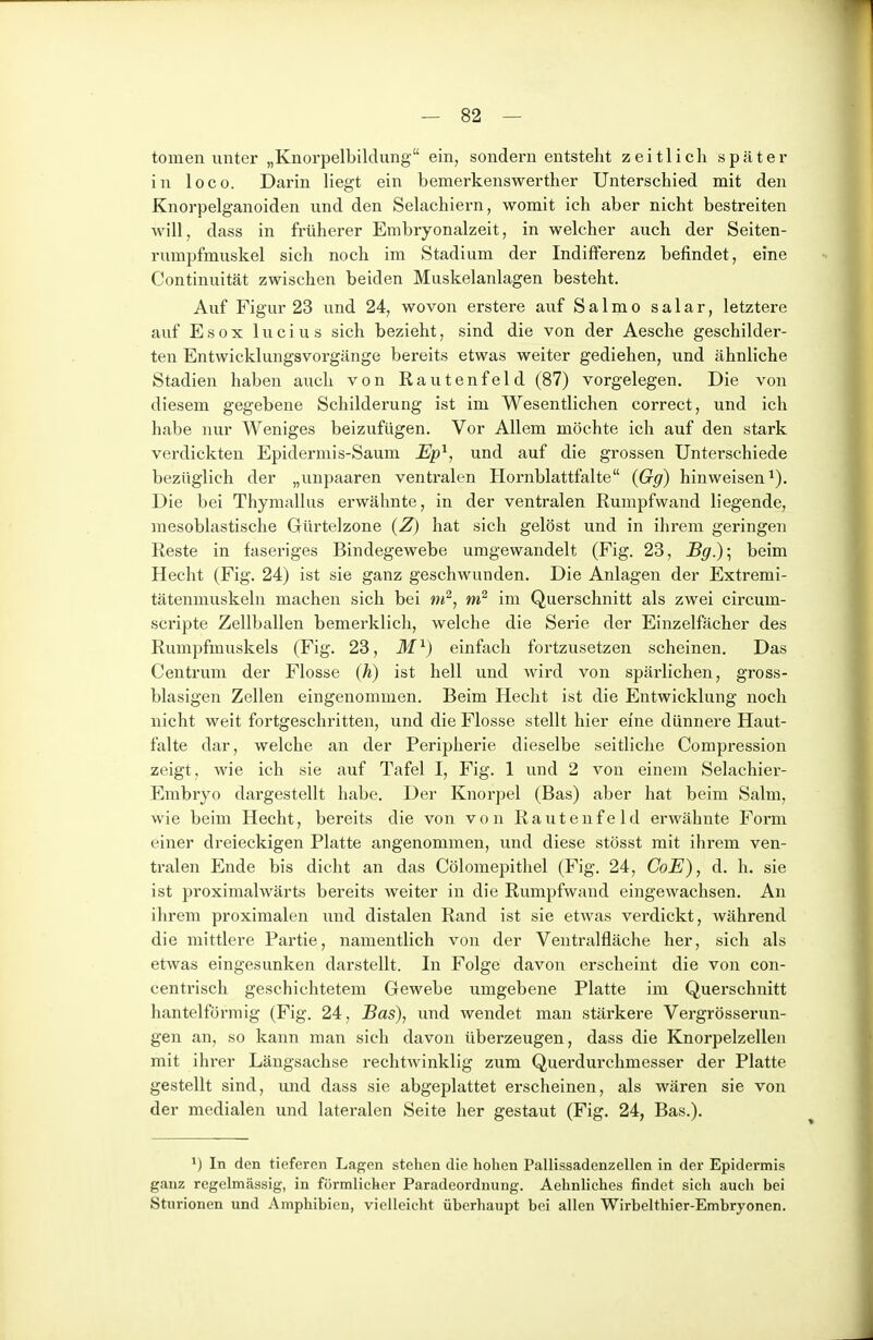 tomen unter „Knorpelbildung ein, sondern entstellt zeitlich später in loco. Darin liegt ein bemerkenswertlier Unterscliied mit den Knorpelganoiden und den Selachiern, womit ich aber nicht bestreiten will, dass in früherer Embryonalzeit, in welcher auch der Seiten- rumpfmuskel sich noch im Stadium der Indifferenz befindet, eine Continuität zwischen beiden Muskelanlagen besteht. Auf Figur 23 und 24, wovon erstere auf Salmo salar, letztere auf Esox lucius sich bezieht, sind die von der Aesche geschilder- ten Entwicklungsvorgänge bereits etwas weiter gediehen, und ähnliche Stadien haben auch von Rautenfeld (87) vorgelegen. Die von diesem gegebene Schilderung ist im Wesentlichen correct, und ich habe nur Weniges beizufügen. Vor Allem möchte ich auf den stark verdickten Epidermis-Saum JEp^, und auf die grossen Unterschiede bezüglich der „unpaaren ventralen Hornblattfalte (Gg) hinweisen^). Die bei Thymallus erwähnte, in der ventralen Rumpfwand liegende, mesoblastische Gürtelzone (Z) hat sich gelöst und in ihrem geringen Reste in faseriges Bindegewebe umgewandelt (Fig. 23, J8g.)-^ beim Hecht (Fig. 24) ist sie ganz geschwunden. Die Anlagen der Extremi- tätenmuskeln machen sich bei m^, im Querschnitt als zwei circum- scripte Zellballen bemerklich, welche die Serie der Einzelfächer des Rumpfmuskels (Fig. 23, M^) einfach fortzusetzen scheinen. Das Centrum der Flosse (Ä) ist hell und wird von spärlichen, gross- blasigen Zellen eingenommen. Beim Hecht ist die Entwicklung noch nicht weit fortgeschritten, und die Flosse stellt hier eine dünnere Haut- falte dar, welche an der Peripherie dieselbe seitliche Compression zeigt, wie ich sie auf Tafel I, Fig. 1 und 2 von einem Selachier- Embryo dargestellt habe. Der Knorpel (Bas) aber hat beim Salm, wie beim Hecht, bereits die von von Rautenfeld erwähnte Form einer dreieckigen Platte angenommen, und diese stösst mit ihrem ven- tralen Ende bis dicht an das Cölomepithel (Fig. 24, CoE), d. h. sie ist proximalwärts bereits weiter in die Rumpfwand eingewachsen. An ihrem proximalen und distalen Rand ist sie etwas verdickt, während die mittlere Partie, namentlich von der Ventralfläche her, sich als etwas eingesunken darstellt. In Folge davon erscheint die von con- centrisch geschichtetem Gewebe umgebene Platte im Querschnitt hanteiförmig (Fig. 24, Bas), und wendet man stärkere Vergrösserun- gen an, so kann man sich davon überzeugen, dass die Knorpelzellen mit ihrer Längsachse rechtwinklig zum Querdurchmesser der Platte gestellt sind, und dass sie abgeplattet erscheinen, als wären sie von der medialen und lateralen Seite lier gestaut (Fig. 24, Bas.). *) In den tieferen Lagen stehen die hohen Pallissadenzellen in der Epidermis ganz regelmässig, in förmlicher Paradeordnung. Aehnliches findet sich auch bei Sturionen und Amphibien, vielleicht überhaupt bei allen Wirbelthier-Embryonen.