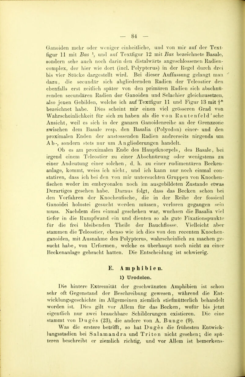 Ganoiden mehr oder wt'iiiger einheitliche, und von mir auf der Text- ligur 11 mit Bas ^, und auf Textfigur 12 mit i»ö!S bezeichnete Basale, sondern sehe auch noch darin den distalwärts angeschlossenen Radien- complex, der hier wie dort (incl. Polypterus) in der Regel durch drei bis vier Stücke dargestellt wird. Bei dieser Auffassung gelangt man dazu, die secundär sich abgliedernden Radien der Teleostier den ebenfalls erst zeitlich später von den primären Radien sich abschnü- renden secundären Radien der Ganoiden und Selachier gleichzusetzen, also jenen Gebilden, welche ich auf Textfigur 11 und Figur 13 mit f* bezeichnet habe. Dies scheint mir einen viel grösseren Grad von Wahrscheinlichkeit für sich zu haben als die von Rautenfeld' sehe Ansicht, weil es sich in der ganzen Ganoidenreihe an der Grenzzone zwischen dem Basale resp. den Basalia (Polyodon) einer- und den proximalen Enden der anstossenden Radien andrerseits nirgends um Ab-, sondern stets nur um Angliederungen handelt. Ob es am proximalen Ende des Hauptknorpels, des Basale, bei irgend einem Teleostier zu einer Abschnürung oder wenigstens zu einer Andeutung einer solchen, d. h. zu einer rudimentären Becken- anläge, kommt, weiss ich nicht, und ich kann nur noch einmal con- statiren, dass ich bei den von mir untei'suchten Gruppen von Knochen- fischen weder im embryonalen noch im ausgebildeten Zustande etwas Derartiges gesehen habe. Daraus folgt, dass das Becken schon bei den Vorfahren der Knochenfische, die in der Reihe der fossienl Ganoidei holostei gesucht werden müssen, verloren gegangen sein niuss. Nachdem dies einmal geschehen war, wuchsen die Basalia viel tiefer in die Rumpfwand ein und dienten so als gute Fixationspunkt(> für die frei bleibenden Theile der Bauchflosse. Vielleicht aber stammen die Teleostier, ebenso wie ich dies von den recenten Knochen- ganoiden, mit Ausnahme des Polypterus, wahrscheinlich zu machen ge- sucht habe, von Urformen, welche es überhaupt noch nicht zu einer Beckenanlage gebracht hatten. Die Entscheidung ist schwierig. E. Amphibien. 1) Urodelen. Die hintere Extremität der geschwänzten Amphibien ist schon sehr oft Gegenstand der Beschreibung gewesen, Avährend die Ent- wicklungsgeschichte im Allgemeinen ziemlich stiefmütterlich behandelt worden ist. Dies gilt vor Allem für das Becken, wofür bis jetzt eigentlich nur zwei brauchbare Schilderungen existieren. Die eine stammt von Duges (23), die andere von A. Bunge (9). Was die erstere betrifft, so hat Duges die frühesten Entwick- lungsstadien bei Salamandra und Triton nicht gesehen-, die spä- teren beschreibt er ziemlich richtig, und vor Allem ist bemerkens-