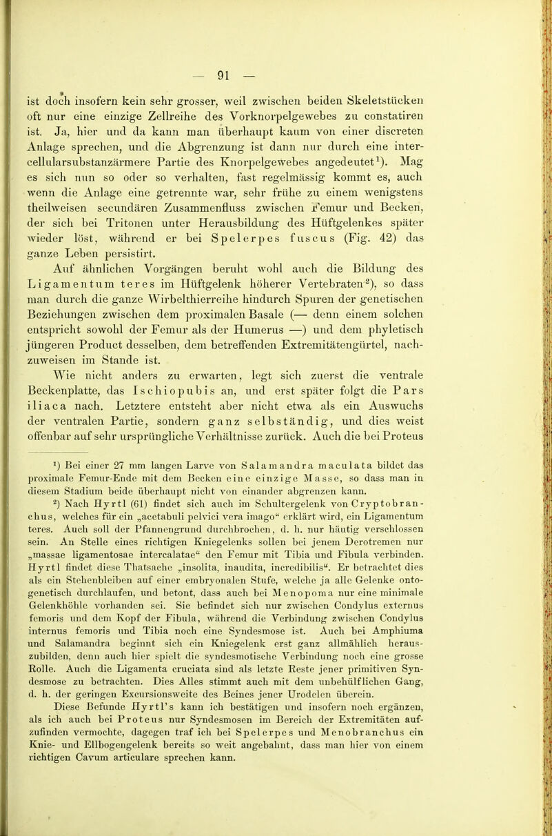 ist doch insofern kein sehr grosser, weil zwischen beiden Skeletstücken oft nur eine einzige Zellreihe des Vorknorpelgewebes zu constatiren ist. Ja, hier und da kann man überhaupt kaum von einer discreten Anlage sprechen, und die Abgrenzung ist dann nur durch eine inter- cellularsubstanzärmere Partie des Knorpelgewebes angedeutet^). Mag es sich nun so oder so verhalten, fast regelmässig kommt es, auch wenn die Anlage eine getrennte war, sehr frühe zu einem wenigstens theilweisen secundären Zusammenfluss zwischen Femur und Becken, der sich bei Tritonen unter Herausbildung des Hüftgelenkes später wieder löst, während er bei Spelerpes fuscus (Fig. 42) das ganze Leben persistirt. Auf ähnlichen Vorgängen beruht wohl auch die Bildung des Ligamentum teres im Hüftgelenk höherer Vertebraten^), so dass man durch die ganze Wirbelthierreihe hindurch Spuren der genetischen Beziehungen zwischen dem proximalen Basale (— denn einem solchen entspricht sowohl der Femur als der Humerus —) und dem phyletisch jüngeren Product desselben, dem betreffenden Extremitätengürtel, nach- zuweisen im Stande ist. Wie nicht anders zu erwarten, legt sich zuerst die venti-ale Beckenplatte, das Ischiopubis an, und erst später folgt die Pars iliaca nach. Letztere entsteht aber nicht etwa als ein Auswuchs der ventralen Partie, sondern ganz selbständig, und dies weist offenbar auf sehr ursprüngliche Verhältnisse zurück. Auch die bei Proteus Bei einer 27 mm langen Larve von Salamandra maculata bildet das proximale Femur-Ende mit dem Becken eine einzige Masse, so dass man in diesem Stadium beide überhaupt nicht von einander abgrenzen kann. 2) Nach Hyrtl (61) findet sich auch im Schultergelenk von Cryptobran- chus, welches für ein „acetabuli j)elvici vera imago erklärt Avird, ein Ligamentum teres. Auch soll der Pfannengrund durchbrochen, d. h. nur häutig verschlossen sein. An Stelle eines richtigen Kniegelenks sollen bei jenem Derotremen nur „massae ligamentosae intercalatae den Femur mit Tibia und Fibula verbinden. Hyrtl findet diese Thatsache „insolita, inaudita, incredibilis. Er betrachtet dies als ein Stehenbleiben auf einer embryonalen Stufe, welche ja alle Gelenke onto- genetiscli durchlaufen, und betont, dass auch bei Menopoma nur eine minimale Gelenkhöhle vorhanden sei. Sie befindet sich nur zwischen Condylus externus fcmoris und dem Kopf der Fibula, während die Verbindung zwischen Condylus internus femoris und Tibia noch eine Syndesmose ist. Auch bei Amphiuma und Salamandra beginnt sich ein Kniegelenk erst ganz allmählich heraus- zubilden, denn auch hier spielt die syndesmotische Verbindung noch eine grosse Rolle. Auch die Ligamenta cruciata sind als letzte Reste jener primitiven Syn- desmose zu betrachten. Dies Alles stimmt auch mit dem unbehülfliehen Gang, d. h. der geringen Excursionsweite des Beines jener Urodclen überein. Diese Befunde Hyrtl's kann ich bestätigen und insofern noch ergänzen, als ich auch bei Proteus nur Syndesmosen im Bereich der Extremitäten auf- zufinden vermochte, dagegen traf ich bei Spelerpes und Menobranchus ein Knie- und Ellbogengelenk bereits so weit angebahnt, dass man hier von einem richtigen Cavum articulare sprechen kann.