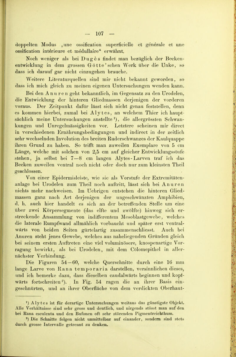 doppelten Modus „iine ossification superficielle et generale et une ossification Interieure et medullaire erwähnt. Noch weniger als bei D u g e s findet man bezüglich der Becken- entwicklung in dem grossen G ö 11 e ' sehen Werk über die Unke, so dass ich darauf gar nicht einzugehen brauche. Weitere Literaturquellen sind mir nicht bekannt geworden, so dass ich mich gleich zu meinen eigenen Untersuchungen wenden kann. Bei den A n u r e n geht bekanntlich, im Gegensatz zu den Urodelen, die Entwicklung der hinteren Gliedmassen derjenigen der vorderen voraus. Der Zeitpunkt dafür lässt sich nicht genau feststellen, denn es kommen hierbei, zumal bei Alytes, an welchem Thier ich haupt- sächlich meine Untersuchungen anstellte ^), die allergrössten Schwan- kungen und Unregelmässigkeiten vor. Letztere scheinen mir direct in verschiedenen Ernährungsbedingungen und indirect in der zeitlich sehr wechselnden Involution des breiten Ruderschwanzes der Kaulquappe ihren Grund zu haben. So trifft man zuweilen Exemplare von 5 cm Länge, welche mit solchen von 2,5 cm auf gleicher Entwicklungsstufe stehen, ja selbst bei 7—8 cm langen Alytes - Larven traf ich das Becken zuweilen ventral noch nicht oder doch nur zum kleinsten Theil geschlossen. Von einer Epidermisleiste, wie sie als Vorstufe der Extremitäten- anlage bei Urodelen zum Theil noch auftritt, lässt sich bei Anixren nichts mehr nachweisen. Im Uebrigen entstehen die hinteren Glied- massen ganz nach Art derjenigen der ungeschwänzten Amphibien, d. h. auch hier handelt es sich an der betreffenden Stelle um eine über zwei Körpersegmente (das elfte und zwölfte) hinweg sich er- streckende Ansammlung von indifferentem Mesoblastgewebe, welches die laterale Rumpfwand allmählich vorbaucht und später erst ventral- wärts von beiden Seiten gürtelartig zusammenschliesst. Auch bei Anuren steht jenes Gewebe, welches aus naheliegenden Gründen gleich bei seinem ersten Auftreten eine viel voluminösere, knospenartige Vor- ragung bewirkt, als bei Urodelen, mit dem Cölomepitliel in aller- nächster Verbindung. Die Figuren 54 — 60, welche Querschnitte durch eine 16 mm lange Larve von Rana temporaria darstellen, versinnlichen dieses, und ich bemerke dazu, dass dieselben caudalwärts beginnen und kopf- wärts fortschreiten^). In Fig. 54 ragen die an ihrer Basis ein- geschnürten, und an ihrer Oberfläche von dem verdickten Oberhaut- 1) Alytes ist für derartige Untersuchungen weitaus das günstigste Objekt. Alle Verhältnisse sind sehr gross und deutlich, und nirgends stösst man auf den bei Rana esculenta und den Bufonen oft sehr störenden Pigmentreichthum. Die Schnitte folgen nicht unmittelbar auf einander, sondern sind stets durch grosse Intervalle getrennt zu denken.