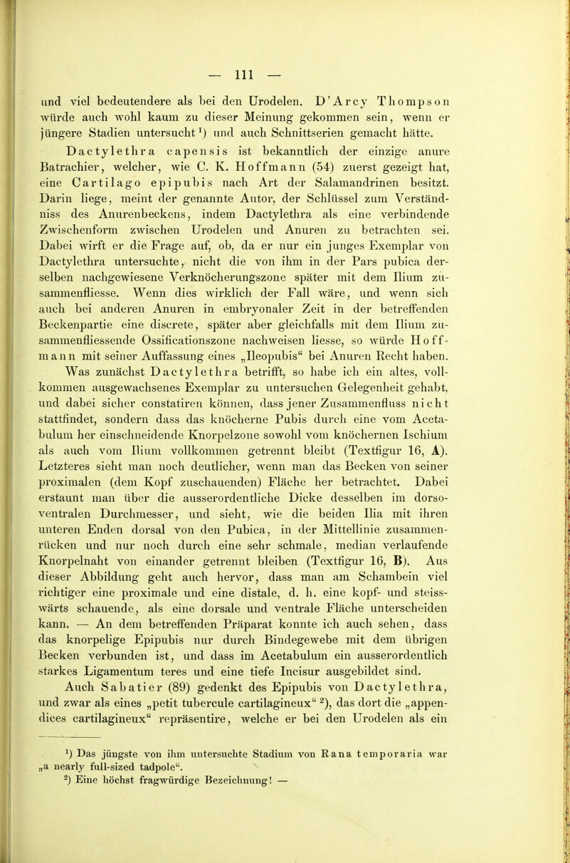 und viel bedeutendere als bei den ürodelen. D'Arcy Thompson Avürde auch wohl kaum zu dieser Meinung gekommen sein, wenn er jüngere Stadien untersucht ^) und auch Schnittserien gemacht hätte. D a c ty 1 e t h r a c a p e n s i s ist bekanntlich der einzige anure Batrachier, welcher, wie C. K. Hoff mann (54) zuerst gezeigt hat, eine Cartilago epipubis nach Art der Salamandrinen besitzt. Darin liege, meint der genannte Autor, der Schlüssel zum Verständ- niss des Anurenbeckens, indem Dactylethra als eine verbindende Zwischenform zwischen ürodelen und Anuren zu betrachten sei. Dabei wirft er die Frage auf, ob, da er nur ein junges Exemplar von Dactylethra untersuchte, nicht die von ihm in der Pars pubica der- selben nachgewiesene Verknöcherungszone später mit dem Ilium zu- sammenfliesse. Wenn dies wirklich der Fall wäre, und wenn sich auch bei anderen Anuren in embryonaler Zeit in der betreffenden Beckenpartie eine discrete, später aber gleichfalls mit dem Ilium zu- sammenfliessende Ossificationszone nachweisen Hesse, so Avürde Hoff- mann mit seiner Auffassung eines „Ileopubis bei Anuren Recht haben. Was zunächst Dactylethra betrifft, so habe ich ein altes, voll- kommen ausgewachsenes Exemplar zu untersuchen Gelegenheit gehabt, und dabei sicher constatiren können, dass jener Zusammenfluss nicht stattfindet, sondern dass das knöcherne Pubis durch eine vom Aceta- bulum her einschneidende Knorpelzone sowohl vom knöchernen Ischium als auch vom Ilium vollkommen getrennt bleibt (Textfigur 16, A). Letzteres sieht man noch deutlicher, wenn man das Becken von seiner proximalen (dem Kopf zuschauenden) Fläche her betrachtet. Dabei erstaunt man über die ausserordentliche Dicke desselben im dorso- ventralen Durchmesser, und sieht, wie die beiden Ilia mit ihren unteren Enden dorsal von den Pubica, in der Mittellinie zusammen- rücken und nur noch durch eine sehr schmale, median verlaufende Knorpelnaht von einander geti-ennt bleiben (Textfigur 16, B). Aus dieser Abbildung geht auch hervor, dass man am Schambein viel richtiger eine proximale und eine distale, d. h. eine köpf- und steiss- wärts schauende, als eine dorsale und ventrale Fläche untei-scheiden kann. — An dem betreffenden Präparat konnte ich auch sehen, dass das knorpelige Epipubis nur durch Bindegewebe mit dem übrigen Becken verbunden ist, und dass im Acetabulum ein ausserordentlich starkes Ligamentum teres und eine tiefe Incisur ausgebildet sind. Auch Sabatier (89) gedenkt des Epipubis von Dactylethra, und zwar als eines „petit tubercule cartilagineux das dort die „appen- dices cartilagineux repräsentire, welche er bei den Ürodelen als ein Das jüngste von ihm untersuchte Stadium von Rana temporaria war „a nearly full-sized tadpole. ^) Eine höchst fragwürdige Bezeichnung! —