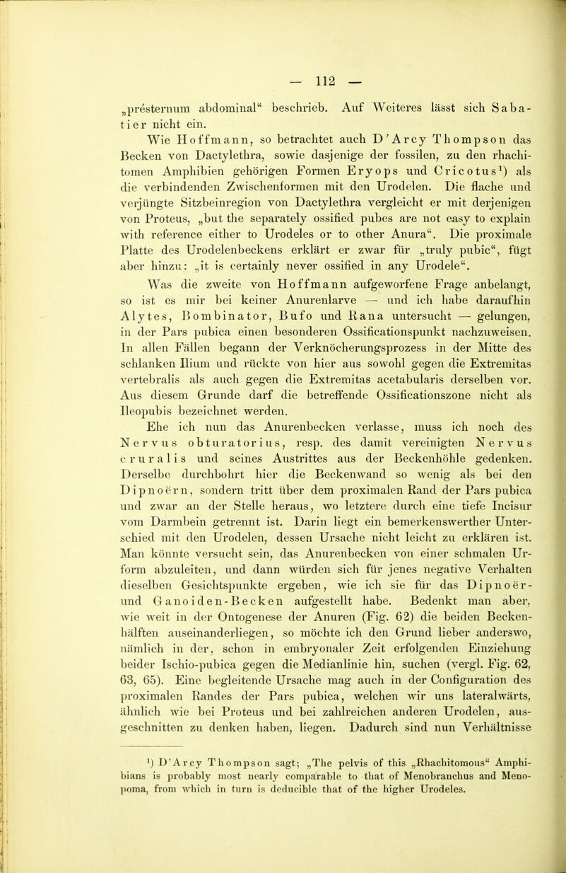 „presternum abdominal beschrieb. Auf Weiteres lässt sich Saba- t i e r nicht ein. Wie Hoffmann, so betrachtet auch D'Arcy Thompson das Becken von Dactylethra, sowie dasjenige der fossilen, zu den rhachi- tomen Amphibien gehörigen Formen Eryops und Cricotus^) als die verbindenden Zwischenformen mit den Urodelen. Die flache und verjüngte Sitzbeinregion von Dactylethra vergleicht er mit derjenigen von Proteus, „but the separately ossified pubes are not easy to explain with reference either to Urodeles or to other Anura. Die proximale Platte des Urodelenbeckens erklärt er zwar für „truly pubic, fügt aber hinzu: „it is certainly never ossitied in any Urodele. Was die zweite von Ho ff mann aufgeworfene Frage anbelangt, so ist es mir bei keiner Anurenlarve — und ich habe daraufhin Alytes, Bombinator, Bufo und Rana untersucht — gelungen, in der Pars pubica einen besonderen Ossificationspunkt nachzuweisen. In allen Fällen begann der Verknöcherungsprozess in der Mitte des schlanken Ilium und rückte von hier aus sowohl gegen die Exti'emitas vertebralis als auch gegen die Extremitas acetabularis derselben vor. Aus diesem Grunde darf die betreffende Ossificationszone nicht als Ileopubis bezeichnet werden. Ehe ich nun das Anurenbecken verlasse, muss ich noch des Nervus obturatorius, resp. des damit vereinigten Nervus c r u r a 1 i s und seines Austrittes aus der Beckenhöhle gedenken. Derselbe durchbohrt hier die Beckenwand so wenig als bei den Dipnoern, sondern tritt über dem proximalen Rand der Pars pubica und zwar an der Stelle heraus, wo letztere durch eine tiefe Incisur vom Darmbein getrennt ist. Darin liegt ein bemerkenswerther Unter- schied mit den Urodelen, dessen Ursache nicht leicht zu erklären ist. Man könnte versucht sein, das Anurenbecken von einer schmalen Ur- form abzuleiten, und dann würden sich für jenes negative Verhalten dieselben Gesichtspunkte ergeben, wie ich sie für das D i p n o e r - und Ganoiden-Becken aufgestellt habe. Bedenkt man aber, wie weit in der Ontogenese der Anuren (Fig. 62) die beiden Becken- hälften auseinanderliegen, so möchte ich den Grund lieber anderswo, nämlich in der, schon in embryonaler Zeit erfolgenden Einziehung beider Ischio-pubica gegen die Medianlinie hin, suchen (vergl. Fig. 62, 63, 65). Eine begleitende Ursache mag auch in der Configuration des proximalen Randes der Pars pubica, welchen wir uns lateralwärts, ähnlich wie bei Proteus und bei zahlreichen anderen Urodelen, aus- geschnitten zu denken haben, liegen. Dadurch sind nun Verhältnisse D'Arcy Thompson sagt; „The pelvis of this „Rhachitomous Amphi- bians is probably most nearly comparable to that of Menobranchus and Meno- poma, from which in turn is deducible that of the higher Urodeles.