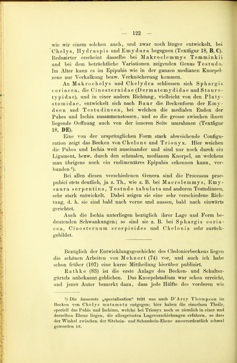 wie wii' einem solchen auch, und zwar noch länger entwickelt, bei Chelys, Hydraspis und Emydura begegnen (Textfigur 18, B, C). Reduzirter erscheint dasselbe bei Makroclemmys Temminkii und bei dem beträchtliche Variationen zeigenden Genus Testudo. Im Alter kann es im Epipubis wie in der ganzen medianen Knorpel- zone zur Verkalkung bezw. Verknöcherung kommen. An Makro chelys und Chelydra schliessen sich Sphargis c0riacea, die Cinosternidae (Dermatemydidae und Stauro- typidae), und in einer andern Richtung, vielleicht von den Platy- stomidae, entwickelt sich nach Baur die Beckenform der Eniy- deen und Testudineen, bei welchen die medialen Enden der Pubes und Ischia zusammenstossen, und so die grosse zwischen ihnen liegende Oeffnung auch von der inneren Seite umrahmen (Textfigur 18, DE). Eine von der ursprünglichen Form stark abweichende Configu- ration zeigt das Becken von C h e 1 o n e und T r i o n y x. Hier weichen die Pubes und Ischia weit auseinander und sind nur noch durch ein Ligament, bezw. durch den schmalen, medianen Knorpel, an welchem man übrigens noch ein rudimentäres Epipubis erkennen kann, ver- bunden Bei allen diesen verschiedenen Genera sind die Processus prae- pubici stets deutlich, ja z. Th., wie z. B. bei Macrolemmys, Emy- saura serpentina, Testudo tabulata und anderen Testudineen, sehr stark entwickelt. Dabei zeigen sie eine sehr verschiedene Rich- tung, d. h. sie sind bald nach vorne und aussen, bald nach einwärts gerichtet. Auch die Ischia unterliegen bezüglich ihrer Lage und Form be- deutenden Schwankungen; so sind sie z. B. bei Sphargis coria- cea, Cinosternum scorpioides und Che 1 onia sehr zurück- gebildet. Bezüglich der Entwicklungsgeschichte des Chelonierbeckens liegen die schönen Arbeiten von Mehnert (74) vor, und auch ich habe schon früher (107) eine kurze Mittheilung hierüber publizirt. Rathke (83) ist die erste Anlage des Becken- und Schulter- gürtels unbekannt geblieben. Das Knorpelstadium war schon erreicht, und jener Autor bemerkt dazu, dass jede Hälfte des vorderen wie ') Die äusserste „specialisation tritt uns nach D'Arcy Tlionipsoii im üecken von Chelys matamata entgegen; hier haben die einzelnen Tlieilc, speciell das Pubis und Ischium, welche bei Trionyx noch so ziemlich in einer und derselben Ebene liegen, die allergrössten Lageverschiebungen ei'fahren, so dass der Winkel zwischen der Sitzbein- und Schambein-Ebene ausserordentlich schmal geworden ist.