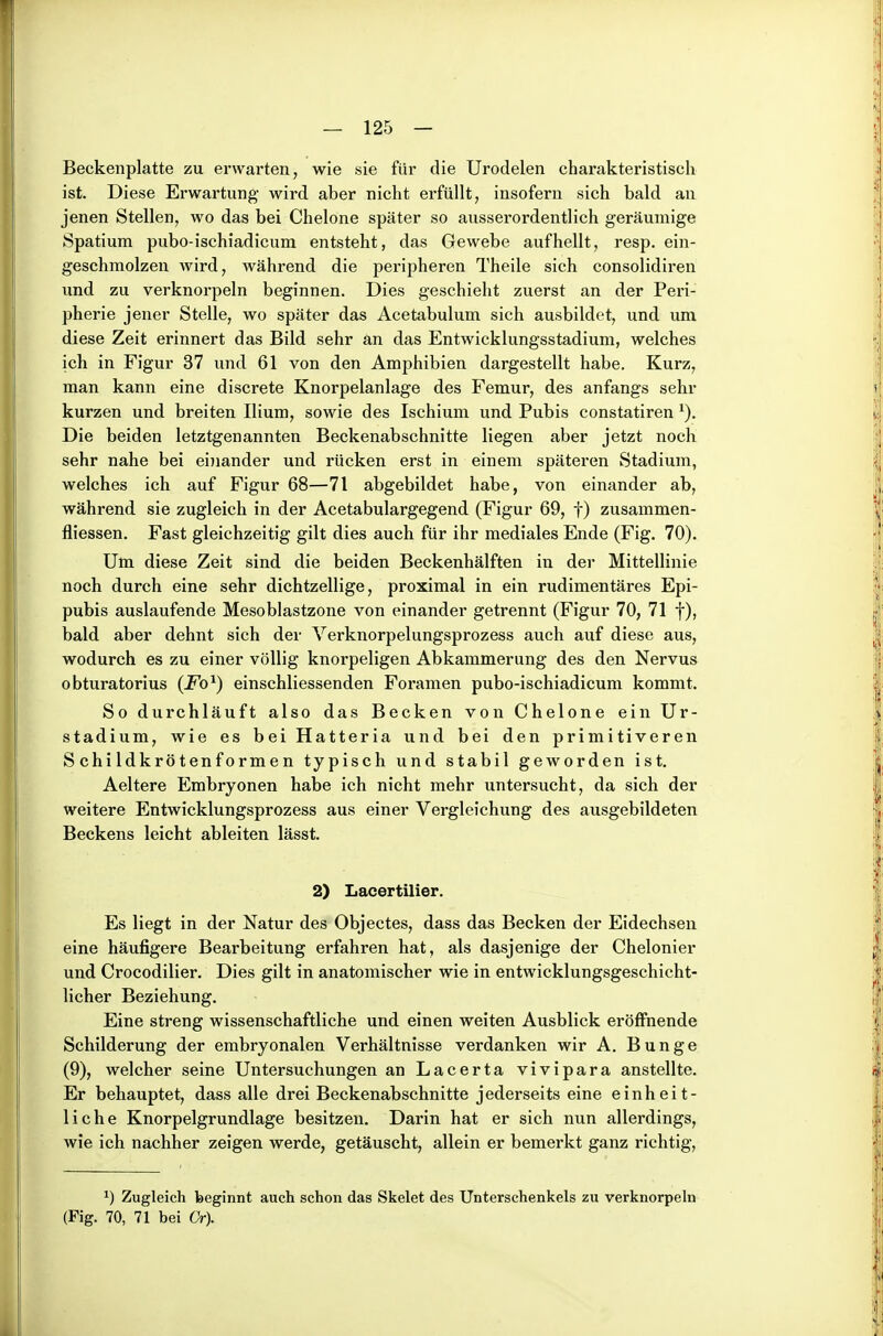 Beckenplatte zu erwarten, wie sie für die Urodelen charakteristisch ist. Diese Erwartung wird aber nicht erfüllt, insofern sich bald an jenen Stellen, wo das bei Chelone später so ausserordentlich geräumige Spatium pubo-ischiadicum entsteht, das Gewebe aufhellt, resp. ein- geschmolzen wird, während die peripheren Theile sich consolidiren und zu verknorpeln beginnen. Dies geschieht zuerst an der Peri- pherie jener Stelle, wo später das Acetabulum sich ausbildet, und um diese Zeit erinnert das Bild sehr an das Entwicklungsstadium, welches ich in Figur 37 und 61 von den Amphibien dargestellt habe. Kurz, man kann eine discrete Knorpelanlage des Femur, des anfangs sehr kurzen und breiten Ilium, sowie des Ischium und Pubis constatiren Die beiden letztgenannten Beckenabschnitte liegen aber jetzt noch sehr nahe bei eiiiander und rücken erst in einem späteren Stadium, welches ich auf Figur 68—71 abgebildet habe, von einander ab, während sie zugleich in der Acetabulargegend (Figur 69, f) zusammen- fliessen. Fast gleichzeitig gilt dies auch für ihr mediales Ende (Fig. 70). Um diese Zeit sind die beiden Beckenhälften in der Mittellinie noch durch eine sehr dichtzellige, proximal in ein rudimentäres Epi- pubis auslaufende Mesoblastzone von einander getrennt (Figur 70, 71 f), bald aber dehnt sich der Verknorpelungsprozess auch auf diese aus, wodurch es zu einer völlig knorpeligen Abkammerung des den Nervus obturatorius (Fo^) einschliessenden Foramen pubo-ischiadicum kommt. So durchläuft also das Becken von Chelone ein Ur- stadium, wie es beiHatteria und bei den primitiveren Schildkrötenformen typisch und stabil geworden ist. Aeltere Embryonen habe ich nicht mehr untersucht, da sich der weitere Entwicklungsprozess aus einer Vergleichung des ausgebildeten Beckens leicht ableiten lässt. 2) Lacertilier. Es liegt in der Natur des Objectes, dass das Becken der Eidechsen eine häufigere Bearbeitung erfahren hat, als dasjenige der Chelonier und Crocodilier. Dies gilt in anatomischer wie in entwicklungsgeschicht- licher Beziehung. Eine streng wissenschaftliche und einen weiten Ausblick eröffnende Schilderung der embryonalen Verhältnisse verdanken wir A. Bunge (9), welcher seine Untersuchungen an Lacerta vivipara anstellte. Er behauptet, dass alle drei Beckenabschnitte jederseits eine einheit- liche Knorpelgrundlage besitzen. Darin hat er sich nun allerdings, wie ich nachher zeigen werde, getäuscht, allein er bemerkt ganz richtig. ^) Zugleich beginnt auch schon das Skelet des Unterschenkels zu verknorpeln {Fig. 70, 71 bei Cr).