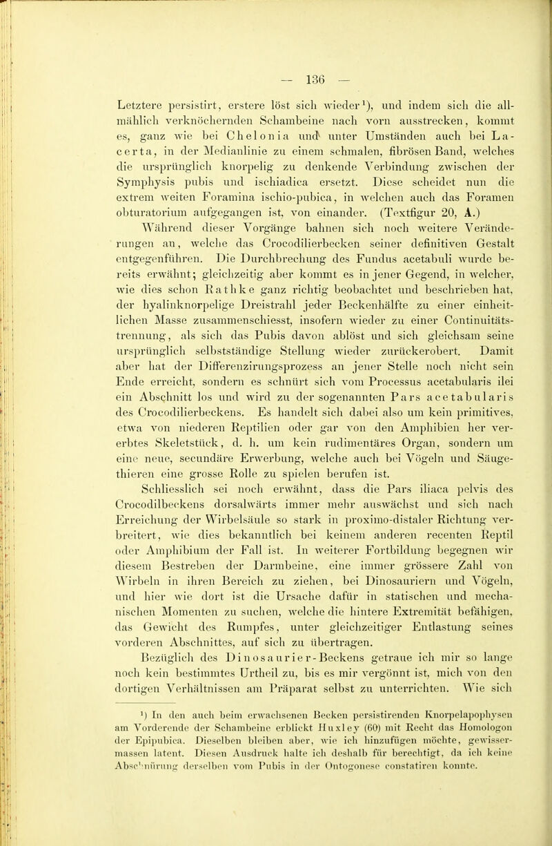 Letztere persistirt, erstere löst sich wieder^), und indem sich die all- mählich verknöchernden Schambeine nach vorn ausstrecken, kommt es, ganz wie bei Chelonia und^ unter Umständen auch bei La- certa, in der Medianlinie zu einem schmalen, fibrösen Band, Avelches die ursprünglich knorpelig zu denkende Verbindung zwischen der Symphysis pubis und ischiadica ersetzt. Diese scheidet nun die extrem weiten Foramina ischio-pubica, in welchen auch das Foramen obturatorium aufgegangen ist, von einander. (Textfigur 20, A.) Während dieser Vorgänge bahnen sich noch weitere Verände- rungen an, welche das Crocodilierbecken seiner definitiven Gestalt entgegenführen. Die Durchbrechung des Fundus acetabuli wurde be- reits erwähnt; gleichzeitig aber kommt es in jener Gegend, in welcher, wie dies schon Rathke ganz richtig beobachtet und beschi'ieben hat, der hyalinknorpelige Dreistrahl jeder Beckenhälfte zu einer einheit- lichen Masse zusammenschiesst, insofern wieder zu einer Continuitäts- trennung, als sich das Pubis davon ablöst und sich gleichsam seine ursprünglich selbstständige Stellung wieder zurückerobert. Damit aber hat der DifFerenzirungsprozess an jener Stelle noch nicht sein Ende erreicht, sondern es schnürt sich vom Processus acetabularis ilei ein Abschnitt los und wird zu der sogenannten Pars acetabularis des Crocodilierbeckens. Es handelt sich dabei also um kein primitives, etwa von niederen Reptilien oder gar von den Amphibien her ver- erbtes Skeletstück, d. h. um kein rudimentäres Organ, sondern um eine neue, secundäre Erwerbung, welche auch bei Vögeln und Säuge- thieren eine grosse Rolle zu spielen berufen ist. Schliesslich sei noch erwähnt, dass die Pars iliaca pelvis des Crocodilbeckens dorsalwärts immer mehr auswächst und sich nach Erreichung der Wirbelsäule so stark in proximo-distaler Richtung ver- breitert, wie dies bekanntlich bei keinem anderen recenten Reptil oder Amphibium der Fall ist. In weiterer Fortbildung begegnen wir diesem Bestreben der Dai-rabeine, eine immer grössere Zahl von Wirbeln in ihren Bereich zu ziehen, bei Dinosauriern und Vögeln, und hier wie dort ist die Ursache dafür in statischen und mecha- nischen Momenten zu suchen, welche die hintere Extremität befähigen, das Gewicht des Rumpfes, unter gleichzeitiger Entlastung seines vorderen Abschnittes, auf sich zu übertragen. Bezüglich des Dinosaurier-Beckens getraue ich mir so lange noch kein bestimmtes Urtheil zu, bis es mir vergönnt ist, mich von den dortigen Verhältnissen am Präparat selbst zu unterrichten. Wie sich In den aucli beim crwaclisenen Becken persistirenden Knorpelapophysen am Vorderende der Schambeine erblickt Huxley (60) mit Recht das Homologon der Epi])nbica. Dieselben bknben aber, •wie ich hinzufügen möchte, gewisscr- massen latent. Diesen Ausdruck halte ich deshalb für berechtigt, da icli keine Absc' iiürung derselben vom Pubis in der Oiitogonese constatiren konnte.