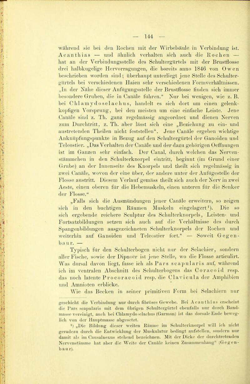 während sie bei den Rochen mit der Wirbelsäule in Verbindung ist. Acanthias — und ähnlich verhalten sich auch die Rochen — hat an der Verbindungsstelle des Schultergürtels mit der Brustflosse drei halbkugelige Hervorragungen, die bereits anno 1846 von Owen beschrieben worden sind ; überhaupt unterliegt jene Stelle des Schulter- gürtels bei verschiedenen Haien sehr vei'schiedenen Formverhältnissen. .,In der Nähe dieser Anfügungsstelle der Brustflosse linden sich immer besondere Gruben, die in Canäle führen. Nur bei wenigen, wie z. B. bei C hl aniy d 0 se 1 achUS, handelt es sich dort um einen gelenk- kopfigen Vorsprung, bei den meisten um eine einfache Leiste. Jene Canäle sind z. Th. ganz regelmässig angeordnet und dienen Nerven zum Durchtritt, z. Th. aber lässt sich eine „Beziehung zu ein- und austretenden Theilen nicht feststellen. Jene Canäle ergeben wichtige Anknüpfungspunkte in Bezug auf den Schultergürtel der Ganoiden und Teleostier. „Das Verhalten der Canäle und der dazu gehörigen Oeffnungen ist im Ganzen sehr einfach. Der Canal, durch welchen das Nerven- stämmchen in den Schulterknorpel eintritt, beginnt (im Grund einer Grube) an der Innenseite des Knorpels und theilt sicli regelmässig in zwei Canäle, wovon der eine über, der andere unter der Anfügestelle der Flosse austritt. Diesem Verlauf gemäss theilt sich auch der Nerv in zwei Aeste, einen oberen für die Hebemuskeln, einen unteren für die Senker der Flosse. „Falls sich die Ausmündungen jener Canäle erweitern, so zeigen sich in den buchtigen Räumen Muskeln eingelagert ^). Die so sich ergebende reichere Sculptur des Schulterknorpels, Leisten- und Fortsatzbildungen setzen sich auch auf die Verhältnisse des durch Spangenbildungen ausgezeichneten Schulterknorpels der Rochen und weiterhin auf Ganoiden und Teleostier fort. — Soweit Gegen- baur. — Typisch für den Schulterbogen nicht nur der Selachier, sondern aller Fische, sowie der Dipnoer ist jene Stelle, wo die Flosse articulirt. Was dorsal davon liegt, fasse ich als Pars scapularis auf, während ich im ventralen Abschnitt des Schulterbogens das Coracoid resp. das noch latente Procoraco id resp. die Clavicula der Amphibien und Amnioten erblicke. Wie das Becken in seiner primitiven Form bei Selachiern nur geschieht die Verbindung nur durch fibröses Gewebe. Bei Acanthias erscheint die Pars scapularis mit dem übrigen Schultergürtel ebenfalls nur durch Band- masse vereinigt, auch bei Chlamydo-clachus (Garnian) ist das dorsale Ende beweg- lieh von der Hauptmasse abgesetzt. 1) „Die Bildung dieser Aveiten Eiiunie im Schulterknorpel will ich nicht geradezu durch die Entwicklung der Muskulatur bedingt aufstellen, sondern ntu- damit als im Causalnexus stellend bezeichnen. Mit der Dicke der durchtretenden Nervenstiimme hat aber die Weite der Canäle keinen Zusanunenhang (Gegen- b a u r).