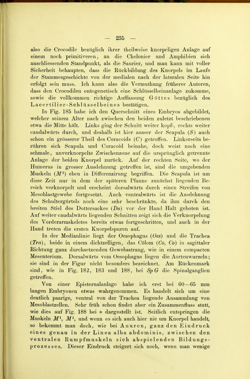 also die Crocodile bezüglich ihrer theilweise knorpeligen Anlage auf einem noch primitiveren, an die Chelonier und Amphibien sich anschliessenden Standpunkt, als die Saurier, und man kann mit voller Sicherheit behaupten, dass die Rückbildung des Knorpels im Laufe der Stammesgeschichte von der medialen nach der lateralen Seite hin erfolgt sein muss. Ich kann also die Vermuthung früherer Autoren, dass den Crocodilen ontogenetisch eine Schlüsselbeinanlage zukomme, sowie die vollkommen richtige Auffassung Gottes bezüglich des Lacertilier- Schlüsselbeines bestätigen. In Fig. 185 habe ich den Querschnitt eines Embryos abgebildet, welcher seinem Alter nach zwischen den beiden zuletzt beschriebenen etwa die Mitte hält. Links ging der Sclinitt weiter köpf-, rechts weiter caudalwärts durch, und deshalb ist hier ausser der Scapula (S) auch schon ein grösserer Theil des Coracoids (C) getroffen. Linkerseits be- rühren sich Scapula und Coracoid beinahe, doch weist noch eine schmale, unverknorpelte Zwischenzone auf die ursprünglich getrennte Anlage der beiden Knorpel zurück. Auf der rechten Seite, wo der Humerus in grosser Ausdehnung getroffen ist, sind die umgebenden Muskeln (M^) eben in Differenzirung begriffen. Die Scapula ist um diese Zeit nur in dem der späteren Pfanne zunächst liegenden Be- reich verknorpelt und erscheint dorsalwärts durch einen Streifen von Mesoblastgewebe fortgesetzt. Auch ventralwärts ist die Ausdehnung des Schultergürtels noch eine sehr beschränkte, da ihm durch den breiten Stiel des Dottersackes (Do) vor der Hand Halt geboten ist. Auf weiter caudalwärts liegenden Schnitten zeigt sich die Verknorpelung des Vorderarmskeletes bereits etwas fortgeschritten, und auch in der Hand treten die ersten Knorpelspuren auf. In der Medianlinie liegt der Oesophagus (Oes) und die Trachea (Trn), beide in einem dichtzelligen, das Cölom (Co, Co) in sagittaler Richtung ganz durchsetzenden Gewebsstrang, wie in einem compacten Mesenterium. Dorsalwärts vom Oesophagus liegen die Aortenwurzeln; sie sind in der Figur nicht besonders bezeichnet. Am Rückenmark sind, wie in Fig. 182, 183 und 188, bei Sp G die Spinalganglien getroffen. Von einer Episternalanlage habe ich erst bei 60—65 mm langen Embryonen etwas wahrgenommen. Es handelt sich um eine deutlich paarige, ventral von der Trachea liegende Ansammlung von Mesoblastzellen. Sehr früh schon findet aber ein Zusammenfluss statt, wie dies auf Fig. 188 bei * dargestellt ist. Seitlich entspringen die Muskeln M^, M^, und wenn es sich auch hier nie um Knorpel handelt, so bekommt man doch, wie bei Anuren, ganz den Eindruck eines genau in der Linea alba abdominis, zwischen den ventralen Rumpfmuskeln sich abspielenden Bildungs- prozesses. Dieser Eindruck steigert sich noch, wenn man wenige