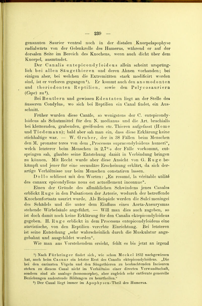 genannten Saurier ventral noch in der distalen Knorpelapophyse radialvvärts von der Gelenkrolle des Humerus, während er auf der dorsalen Seite im Bereich des Knochens, wenn auch dicht über dem Knorpel, ausmündet. Der Canalis entepicondyloideus allein scheint ursprüng- lich bei allen Säugethieren und deren Ahnen vorhanden; bei einigen aber, bei welchen die Extremitäten stark modificirt worden sind, ist er verloren gegangen^). Er kommt auch den anomodonten und theriodonten Reptilien, sowie den Pelycosauriern (Cope) zu 2). Bei Beutlern und gewissen Edentaten Hegt an der Stelle des äusseren Condylus, wo sich bei Reptilien ein Canal findet, ein Aus- schnitt. Früher wurden diese Canäle, so wenigstens der C. entepicondy- loideus als Schutzmittel für den N. medianus und die Art. brachialis bei kletternden, grabenden, greifenden etc. Thieren aufgefasst (Home und Tiedemann); bald aber sah man ein, dass diese Ei'klärung keine stichhaltige war. — W. Grub er, der in 38 Fällen beim Menschen den M. pronator teres von dem „Processus supracondyloideus humeri, welch letzterer beim Menschen in 2,1 ^/o der Fälle vorkommt, ent- springen sah, glaubte seine Entstehung damit in Verbindung bringen zu können. Mit Recht Avurde aber diese Ansicht von G. Rüge be- kämpft und jener für eine secundäre Erscheinung erklärt, da sich der- artige Verhältnisse nur beim Menschen constatiren lassen. D 0 110 schliesst mit den Worten : „En resume, la veritable utilitö des canaux epicondyliens nous est actuellement inconnue. Einen der Gründe des allmählichen Schwindens jenes Canales erblickt Rüge in den Pulsationen der Arterie, wodurch der betrefiende Knochenfortsatz usurirt wurde. Als Beispiele werden die Sulci meningei des Schädels und die unter dem Einfluss eines Aorta-Aneurysmas stehende Wirbelsäule angeführt. — Will man dies auch zugeben, so ist doch damit noch keine Erklärung für den Canalis ektepicondyloideus gegeben. H. Rüge erblickt in dem Processus entepicondyloideus eine atavistische, von den Reptilien vererbte Einrichtung. Bei letzteren ist seine Entstehung „sehr wahrscheinlich durch die Muskulatur ange- gebahnt und ausgebildet worden. Wie man aus Vorstehendem ersieht, fehlt es bis jetzt an irgend 1) Nach Fürbring er findet sich, wie schon Meckel 18.32 nachgewiesen hat, auch beim Casuar ein letzter Rest des Canalis ektepicondyloideus. „Die bei den carinaten Vögeln und den Säugethieren zu beobachtenden Incisuren stehen zu diesem Canal nicht im Verhältniss einer directen Verwandtschaft, sondern sind als analoge (homomorphe), aber zugleich sehr entfernte generelle Beziehungen andeutende Bildungen zu beurtheilen. ^) Der Canal liegt immer im Apophysen-Theil des Humerus.