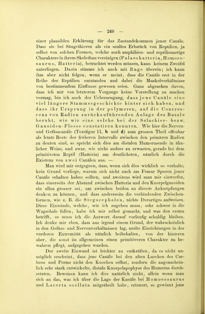 einer plausiblen Erklärung für das Zustandekommen jener Canäle. Dass sie bei Säugethieren als ein uraltes Erbstück von Reptilien, ja selbst von solchen Formen, welche noch amphibien- und reptilienartige Charaktere in ihrem Skeletbau vereinigen (Palaeohatteria,Homoeo- saurus, Hatte ria), betrachtet werden müssen, kann keinem Zweifel untei'liegen. Darin stimme ich auch mit Rüge überein; ich kann ihm aber nicht folgen, wenn er meint, dass die Canäle erst in der Reihe der Reptilien entstanden und dabei die Muskelverhältnisse von bestimmendem Einflüsse gewesen seien. Ganz abgesehen davon, dass ich mir von letzterem Vorgange keine Vorstellung zu machen vermag, bin ich auch der Ueberzeugung, dass jene Canäle eine viel längere S tamm es g e s c h i c h te hinter sich haben, und dass ihr Ursprung in der po 1 ym eren, auf die C oncr es - cenz von Radien zurückzuführenden Anlage des Basale beruht, wie wir eine solche bei der Selachier- bezw. Ganoiden-Flosse constatiren konnten. Wie hier die Nerven- und Gefässcanäle (Textfigur 11, b und d) zum grossen Theil offenbar als letzte Reste der früheren Intervalle zwischen den primären Radien zu deuten sind, so spricht sich dies am distalen Humerusende in ähn- licher Weise, und zwar, wie nicht anders zu erwarten, gerade bei dem primitivsten Reptil (Hatteria) am deutlichsten, nämlich durch die Existenz von zwei Canälen aus. — Man wird mir entgegnen, dass, wenn sich dies wirklich so verhalte, kein Grund vorliege, warum sich nicht auch am Femur Spuren jener Canäle erhalten haben sollten, und zweitens wird man mir einwerfen, dass einerseits der Abstand zwischen Hatteria und den Knorpelganoiden ein allzu grosser sei, um zwischen beiden an directe Anknüpfungen denken zu können, und dass andrerseits die verbindenden Zwischen- formen, wie z. B. die Stegocephalen, nichts Derartiges aufweisen. Diese Einwände, welche, wie ich zugeben muss, sehr schwer in die Wagschale fallen, habe ich mir selbst gemacht, und was den ersten betrifft, so muss ich die Antwort darauf vorläufig schuldig bleiben. Ich denke mir eben, dass aus irgend einem Grund, der wahrscheinlich in den Gefäss- und Nervenverhältnissen lag, uralte Einrichtungen in der vorderen Extremität als nützlich beibehalten, von der hinteren aber, die sonst im allgemeinen einen primitiveren Charakter zu be- wahren pflegt, aufgegeben wurden. Der zweite Einwand ist leichter zu entkräften, da es nicht un- möglich erscheint, dass jene Canäle bei den alten Lurchen des Car- bons und Perms nicht den Knochen selbst, sondern die augenschein- lich sehr stark entwickelte, distale Knorpelapophyse des Humerus durch- setzten. Beweisen kann ich dies natürlich nicht, allein wenn man sich an das, was ich über die Lage der Kanäle bei Homoeosaurus und Lacerta ocellata mitgetheilt liabe, eriimert, so gewinnt jene