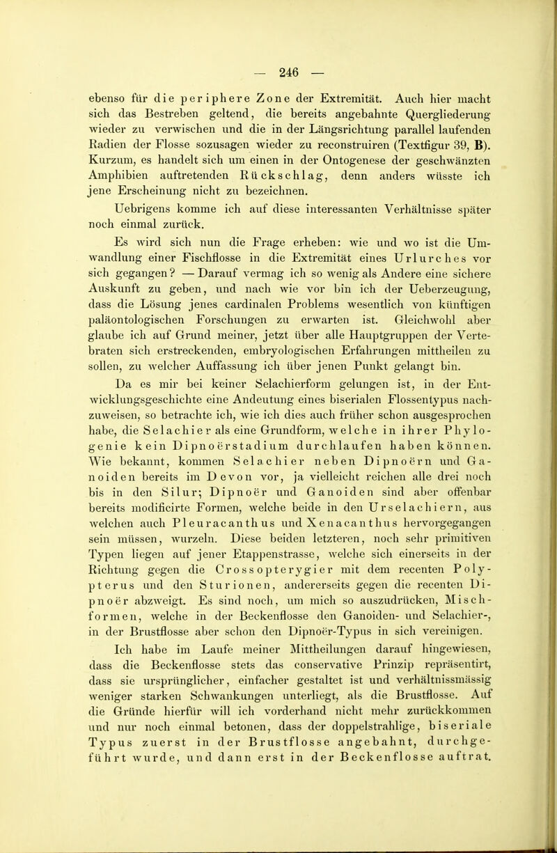 ebenso für die periphere Zone der Extremität. Auch hier macht sich das Bestreben geltend, die bereits angebahnte Quergliederung wieder zu verwischen und die in der Längsrichtung parallel laufenden Radien der Flosse sozusagen wieder zu reconstruiren (Textfigur 39, B). Kurzum, es handelt sich um einen in der Ontogenese der geschwänzten Amphibien auftretenden Rückschlag, denn anders wüsste ich jene Erscheinung nicht zu bezeichnen. Uebrigens komme ich auf diese interessanten Verhältnisse später noch einmal zurück. Es wird sich nun die Frage erheben: wie und wo ist die Um- wandlung einer Fischflosse in die Extremität eines Urlurches vor sich gegangen ? — Darauf vermag ich so wenig als Andere eine sichere Auskunft zu geben, und nach wie vor bin ich der Ueberzeugung, dass die Lösung jenes cardinalen Problems wesentlich von künftigen paläontologischen Forschungen zu erwarten ist. Gleichwohl aber glaube ich auf Grund meiner, jetzt über alle Hauptgruppen der Verte- braten sich erstreckenden, embryologischen Erfahrungen mittheilen zu sollen, zu welcher Auffassung ich über jenen Punkt gelangt bin. Da es mir bei keiner Selachierform gelungen ist, in der Ent- wicklungsgeschichte eine Andeutung eines biserialen Flossentypus nach- zuweisen, so betrachte ich, wie ich dies auch früher schon ausgesprochen habe, die Selachier als eine Grundform, we 1 che in ihrer Phylo- genie kein DipnoerStadium durchlaufen haben können. Wie bekannt, kommen Selachier neben Dipnoern und Ga- noiden bereits im Devon vor, ja vielleicht reichen alle drei noch bis in den Silur; Dipnoer und Ganoiden sind aber offenbar bereits modificirte Formen, welche beide in den Urselachiern, aus Avelchen auch Pleuracanthus und Xenacanthus hervorgegangen sein müssen, wurzeln. Diese beiden letzteren, noch sehr primitiven Typen liegen auf jener Etappenstrasse, welche sich einerseits in der Richtung gegen die Crossopterygier mit dem recenten Poly- pterus und den Sturionen, anderei'seits gegen die recenten Di- pnoer abzweigt. Es sind noch, um mich so auszudrücken, Misch- formen, welche in der Beckenflosse den Ganoiden- und Selachier-, in der Brustflosse aber schon den Dipnoer-Typus in sich vereinigen. Ich habe im Laufe meiner Mittheilungen darauf hingewiesen, dass die Beckenflosse stets das conservative Prinzip repräsentirt, dass sie ursprünglicher, einfacher gestaltet ist und verhältnissmässig weniger starken Schwankungen unterliegt, als die Brustflosse. Auf die Gründe hierfür will ich vorderhand nicht mehr zui'ückkommen und nur noch einmal betonen, dass der doppelstrahlige, biseriale Typus zuerst in der Brustflosse angebahnt, durchge- führt wurde, und dann erst in der Beckenflosse auftrat.