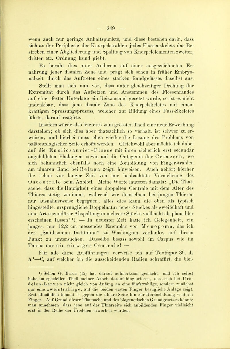 wenn auch nur geringe Anhaltspunkte, und diese bestehen darin, dass sich an der Peripherie der Knorpelstrahlen jedes Flossenskelets das Be- streben einer Abgliederung und Spaltung von Knorpelelenienten zweiter, dritter etc. Ordnung kund giebt. Es beruht dies unter Anderem auf einer ausgezeichneten Er- nährung jener distalen Zone und prägt sich schon in früher Embryo- nalzeit durch das Auftreten eines starken Randgefässes daselbst aus. Stellt man sich nun vor, dass unter gleichzeitiger Drehung der Extremität durch das Aufsetzen und Anstemmen des Flossenrandes auf einer festen Unterlage ein Reizzustand gesetzt Avurde, so ist es nicht undenkbar, dass jene distale Zone des Knorpelskeletes mit einem kräftigen Sprossungsprozess, welcher zur Bildung eines Fuss-Skeletes führte, darauf reagirte. Insofern würde also letzteres zum grösstenTheil eine neue Erwerbung darstellen; ob sich dies aber thatsächlich so verhält, ist schwer zu er- weisen, und hierbei muss eben wieder die Lösung des Problems von paläontologischer Seite erhofft werden. Gleichwohl aber möchte ich dabei auf die Enoliosaurier- Flosse mit ihren sicherlich erst secundär angebildeten Phalangen sowie auf die Ontogenie der Cetaceen, wo sich bekanntlich ebenfalls noch eine Neubildung von Fingerstrahlen am ulnaren Rand bei Beluga zeigt, hinweisen. Auch gehört hierher die schon vor langer Zeit von mir beobachtete Vermehrung des Oscentrale beim Axolotl. Meine Worte lauteten damals: „Die That- sache, dass die Häufigkeit eines doppelten Centrale mit dem Alter des Thieres stetig zunimmt, wähx'end wir demselben bei jungen Thieren nur ausnahmsweise begegnen, alles dies kann die oben als typisch hingestellte, ursprüngliche Doppelnatur jenes Stückes als zweifelhaft und eine Art secundärer Abspaltung in mehrere Stücke vielleicht als plausibler erscheinen lassen ^). — In neuester Zeit hatte ich Gelegenheit, ein junges, nur 12,2 cm messendes Exemplar von Menopoma, das ich der „Smithsonian - Institution zu Washington verdanke, auf diesen Punkt zu untersuchen. Dasselbe besass sowohl im Carpus wie im Tarsus nur ein einziges Centrale! — Für alle diese Ausführungen A^erweise ich auf Textfigur 39, A, A ^—C, auf welcher ich die ausscheidenden Radien schraffirt, die blei- 1) Schon Gr. Baur (12) hat darauf aufmerksam gemacht, und ich selbst habe im speciellen Theil meiner Arbeit darauf hingewiesen, dass sicli bei Uro- delen-Larven nicht gleich von Anfang an eine fünfstrahlige, sondern zunächst nur eine zweistrahlige, auf die beiden ersten Finger bczügliclie Anlage zeigt. Erst allmählich kommt es gegen die ulnare Seite hin zur Herausbildung weiterer Finger. Auf Grund dieser Thatsache und des biogenetischen Grundgesetzes könnte man annehmen, dass jene auf der Ulnarseite sich anbildenden Finger vielleicht erst in der Reihe der Urodelen erworben wurden.