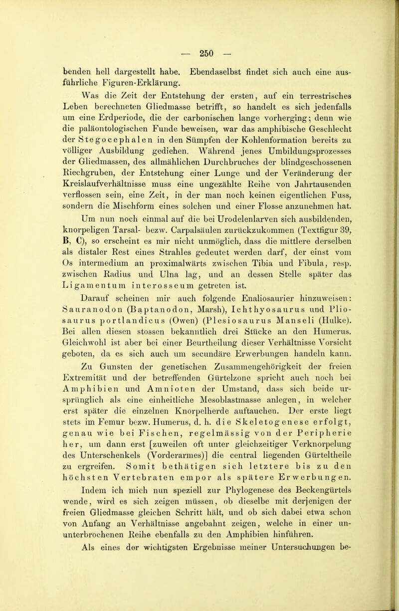 benden hell dargestellt habe. Ebendaselbst findet sich auch eine aus- führliche Figuren-Erklärung. Was die Zeit der Entstehung der ersten, auf ein terrestrisches Leben berechneten Gliedmasse betrifft, so handelt es sich jedenfalls um eine Erdperiode, die der carbonischen lange vorherging; denn wie die paläontologischen Funde beweisen, war das amphibische Geschlecht der Stegocephalen in den Sümpfen der Kohlenformation bereits zu völliger Ausbildung gediehen. Während jenes Umbildungsprozesses der Gliedmassen, des allmählichen Durchbruches der blindgeschossenen Riechgruben, der Entstehung einer Lunge und der Veränderung der Kreislaufverhältnisse muss eine ungezählte Reihe von Jahrtausenden verflossen sein, eine Zeit, in der man noch keinen eigentlichen Fuss, sondern die Mischform eines solchen und einer Flosse anzunehmen hat. Um nun noch einmal auf die bei Urodelenlarven sich ausbildenden, knorpeligen Tarsal- bezw. Carpalsäulen zurückzukommen (Textfigur 39, B, C), so erscheint es mir nicht unmöglich, dass die mittlere derselben als distaler Rest eines Strahles gedeutet werden darf, der einst vom Os intermedium an proximalwärts zwischen Tibia und Fibula, resp. zwischen Radius und Ulna lag, und an dessen Stelle später das Ligamentum interosseum getreten ist. Darauf scheinen mir auch folgende Enaliosaurier hinzuweisen: Sauranodon (Baptanodon, Marsh), Ichthyosaurus und Plio- saurus portlandicus (Owen) (PIesio saurus Hansell (Hulke). Bei allen diesen stossen bekanntlich drei Stücke an den Humerus. Gleichwohl ist aber bei einer Beurtheilung dieser Vei'hältnisse Vorsicht geboten, da es sich auch um secundäre Erwerbungen handeln kann. Zu Gunsten der genetischen Zusammengehörigkeit der freien Extremität und der betreffenden Gürtelzone spricht auch noch bei Amphibien und Amnioten der Umstand, dass sich beide ur- sprünglich als eine einheitliche Mesoblastmasse anlegen, in welcher erst später die einzelnen Knorpelherde auftauchen. Der erste liegt stets im Femur bezw. Humerus, d.h. die Skeletog enese erfolgt, genau wie bei Fischen, regelmässig von der Peripherie her, um dann erst [zuweilen oft unter gleichzeitiger Verknorpelung des Unterschenkels (Vorderarmes)] die central liegenden Gürteltheile zu ergreifen. Somit bethätigen sich letztere bis zu den höchsten Vertebraten empor als spätere Erwerbungen. Indem ich mich nun speziell zur Phylogenese des Beckengürtels wende, wird es sich zeigen müssen, ob dieselbe mit derjenigen der freien Gliedmasse gleichen Schritt hält, und ob sich dabei etwa schon von Anfang an Verhältnisse angebahnt zeigen, welche in einer un- unterbrochenen Reihe ebenfalls zu den Amphibien hinführen. Als eines der wichtigsten Ergebnisse meiner Untersuchungen be-