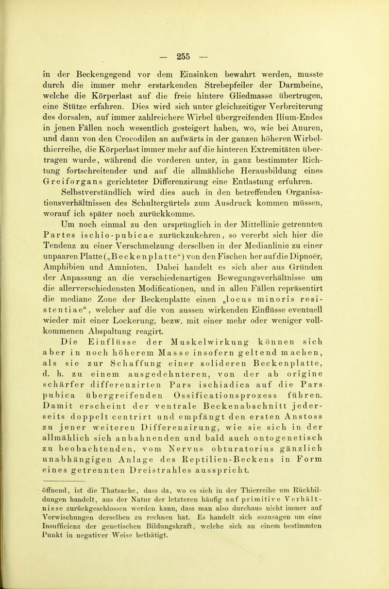 in der Beckengegend vor dem Einsinken bewahrt werden, musste durch die immer mehr erstarkenden Strebepfeiler der Darmbeine, welche die Körperlast auf die freie hintere Gliedmasse übertrugen, eine Stütze erfahren. Dies wird sich unter gleichzeitiger Verbreiterung des dorsalen, auf immer zahlreichere Wirbel übergreifenden Ilium-Endes in jenen Fällen noch wesentlich gesteigert haben, wo, wie bei Anuren, und dann von den Crocodilen an aufwärts in der ganzen höheren Wirbel- thierreihe, die Körperlast immer mehr auf die hinteren Extremitäten über- tragen wurde, während die vorderen unter, in ganz bestimmter Rich- tung fortschreitender und auf die allmähliche Herausbildung eines Greiforgans gerichteter Differenzirung eine Entlastung erfuhren. Selbstverständlich wird dies auch in den betreffenden Organisa- tionsverhältnissen des Schultergürtels zum Ausdruck kommen müssen, worauf ich später noch zurückkomme. Um noch einmal zu den ursprünglich in der Mittellinie getrennten Partes ischio-pubicae zurückzukehren, so vererbt sich hier die Tendenz zu einer Verschmelzung derselben in der Medianlinie zu einer unpaaren Platte („Beckenplatte) von den Fischen her auf die Dipnoer, Amphibien und Amnioten. Dabei handelt es sich aber aus Gründen der Anpassung an die verschiedenartigen Bewegungsverhältnisse um die allerverschiedensten Modificationen, und in allen Fällen repräsentirt die mediane Zone der Beckenplatte einen „locus minoris resi- stentiae, welcher auf die von aussen wirkenden Einflüsse eventuell wieder mit einer Lockerung, bezw. mit einer mehr oder weniger voll- kommenen Abspaltung reagirt. Die Einflüsse der Muskelwirkung können sich aber in noch höherem Masse insofern geltend machen, als sie zur Schaffung einer solideren Becken platte, d. h. zu einem ausgedehnteren, von der ab origine schärfer differenzirten Pars ischiadica auf die Pars pubica übergreifenden Ossificationsprozess führen. Damit erscheint der ventrale Becken abschnitt jeder- seits doppelt centrirt und empfängt den ersten Anstoss zu jener weiteren Differenzirung, wie sie sich in der allmählich sich anbahnenden und bald auch ontogenetisch zu beobachtenden, vom Nervus obturatorius gänzlich unabhängigen Anlage des Reptilien-Beckens in Form eines getrennten Dreistrahles ausspricht. öffnend, ist die Thatsache, dass da, wo es sieh in der Tliierreihe um Rückbil- dungen handelt, aus der Natur der letzteren häufig auf jirimitive Verhält- nisse zurückgeschlossen werden kann, dass man also durchaus nicht immer auf Verwischungen derselben zu rechnen hat. Es handelt sich sozusagen um eine Insufficienz der genetischen Bildungskraft, welche sich an einem bestimmten Punkt in negativer Weise bethätigt.