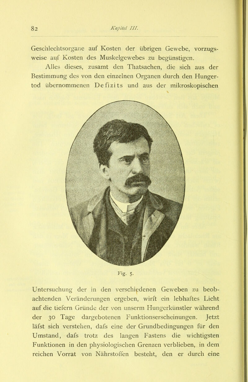 Geschlechtsorgane auf Kosten der übrigen Gewebe, vorzugs- weise auf Kosten des Muskelgewebes zu begünstigen. Alles dieses, zusamt den Thatsachen, die sich aus der Bestimmung des von den einzelnen Organen durch den Hunger- tod übernommenen Defizits und aus der mikroskopischen Fig. s. Untersuchung der in den verschiedenen Geweben zu beob- achtenden Veränderungen ergeben, wirft ein lebhaftes Licht auf die tiefem Gründe der von unserm Hungerkünstler während der 30 Tage dargebotenen Funktionserscheinungen. Jetzt läfst sich verstehen, dafs eine der Grundbedingungen für den Umstand, dafs trotz des langen Fastens die wichtigsten Funktionen in den physiologischen Grenzen verblieben, in dem reichen Vorrat von Nährstoffen besteht, den er durch eine