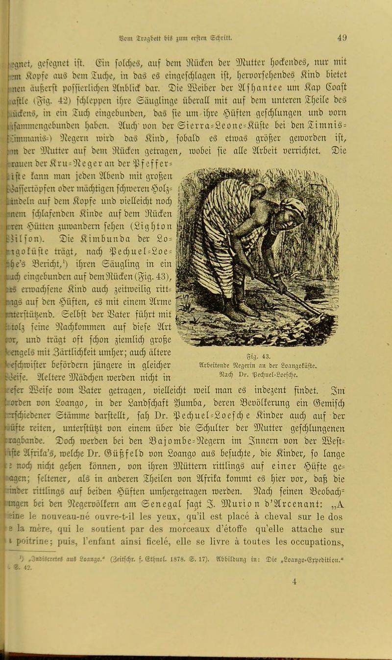 '0(net, öt'foijnet i[t. ©iit fotd^eö, auf beut 9lüden bei' Slhittcv f}odenbeö, miv mit .■m iUtpfe au‘3 bem luc^e, in baä e5 eingcfdjlagen ift, t)eniovfef;enbcö ^linb bietet men äußerft poffier(id;en 5tnblicf bar. 2)ie Söeiber bev 3(f()autee um S\a\> 6oa[t ■üftle i?fig. 42) fd;leppen it^ve Säuglinge überall mit auf bem unteren 2f;eile bed ..iiden^, in ein 2!ud; eingebunben, baö fie um if)re -'^^üften gefd^lungcn unb uorn ifammengebunben l^aben. 3lud)'uon ber Sierra=2eone=Jlüfte bei benSimniSs ;:‘immani^) Siegern mirb bnä i^inb, fobalb eS etmaö gröfjer gemorben ift, ■)n ber ilfutter auf bem ^Uirfeit getragen, roobei fie alle Slrbeit oerridjtet. ®ie : rauen ber ^ r u=3t e g e r an ber 'f.' f e f f e r= .ifte fann man jeben 3lbenb mit grojien x'affertöpfen ober mäd^tigen fd^roeren §ol3= tinbeln auf bem ^opfe unb nielleidü nod; jrnem fc^lafenben ^inbe auf bem Slüden Iren f>ütten 3umanbern feljen (Sigf;ton jilfon). 2)ie ^imbunba ber 2o = rgotüfte trägt, nac^ ißed;uel=2oe = ^e’s 33eric^t,‘) if^ren Säugling in ein ac^ eingebunben auf bem9lüden(S'ig. 43), enoac^fene ^inb aud; 3eitraeilig ritt= rags auf ben lüften, eä mit einem 3lrme .♦.merftü^enb. Selbft ber Sater fül;rt mit i[:.tol3 feine 9^ac^fommen auf biefe 3lrt hr, unb trägt oft fc^on giemlid; gro^e ; f:engelä mit 3ärtlic^feit untrer; aud§ ältere efc^roifter beförbern jüngere in glei(^er swcitenbe 9ieäetm an ber Soanaofüftc. * x'eife. 3leltere 3Jiäbc^en roerben nic^t in 3kcfer 23eife oom 33ater getragen, oielleid^t roeil man eä inbejent finbet. 3m ■-'orOen oon 2oango, in ber 2anbfd§aft ^umba, bereu Seoölferung ein ©emifd; ^ :trfd)iebener Stämme barftellt, fa^ Dr. iped^uel=2oefd; e ^inber aud; auf ber jüfte reiten, unterftü^t oon einem über bie Sd;ulter ber 9Jlutter gefd;lungenen tragbanbe. 2)oc^ roerben bei ben 35ajombe=3legern im Snnem oon ber 2öeft= ifte 3lfrifa’g, roelc^e Dr. ©üpfelb oon 2oango auä befud^te, bie ^inber, fo lange ij nod) nic^t ge^en fönnen, oon i^ren 3Jlüttem rittlingä auf einer ^^üfte ge= agen; feltener, alä in anberen 3^eilen oon Slfrifa fommt eä l)ier oor, ba^ bie inber rittlingä auf beiben öüften um^ergetragen roerben. 9lad^ feinen Seobad)= mgen bei ben 3legeroölfern am Senegal fagt 3- 3Jlurion b’3lrcenant: „A eine le nouveau-ne ouvre-t-il les yeux, qu’il est place ä cheval sur le dos I e la raere, qui le soutient par des morceau.x d’etoffe qu’elle attache sur * I poitrine; puis, l’enfant ainsi ficele, eile se livre ä toutes les occupatious, ’j . ineiJetttrt au3 ecan^o.* (3«itf(^r. f. öt^nol. 1878. ä. 17). 5(6bilbuui] in: Sie „Soaitjo-tSrpcMtien.“ . Z. VJ.
