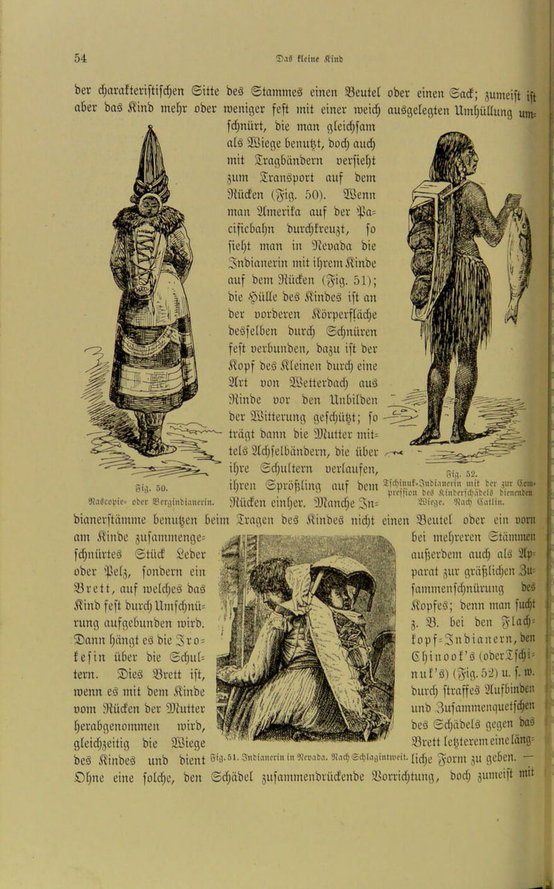 ber d)arafterifti[d)en ©itte beä ©tammeä einen 33eutel ober einen ©ad; jumeift ift aber baä i^inb mer)r ober roeniger fe[t mit einer meid) auggelegten Uml^üüung um= fd^nürt, bie man gleid^fam atä Sßiege benu^t, bod; and) mit Sragbiinbern oerfieI;t jum Srangport auf bem 9tüden (^-ig. 50). 5ßenn man Stmerifa auf ber i)3a' cificbal;n burdjfreujt, fo fief)t man in 9Zeoaba bie 3nbinnerin mit itjrem ^inbe auf bem 9^üden (^-ig. 51); bie .Spülte beä Jlinbeä ift an ber üorberen ^^örperftäd;e beäfeiben burd; ©djnüren feft oerbunben, baju ift ber i^opf beS kleinen burd) eine 21rt oon 95ietterbad) auä 9tinbe oor ben llnbilben ber Söitterung gefd^üt^t; fo tragt bann bie 9)iutter mit= telö Stdjfelbänbern, bie über il)re ©d)ultern oerlaufen, 50. Sin. 50. it)ren ©pröf5ling auf bem .'»•), f»' A' ßf'«* “  ' r M .5 I ^jrcinou bf8 Jlinteridjiibelä bieitcnbcn ajaäccvic- ober SJcrjjinbianciiii. 9tüdeU einiger. 9)ianci^e 3n= av'icje. OJaef; (iatliii. bianerftümme benutzen beim Sragen beä ^inbeä nidjt einen 33eutel ober ein oorn nn^j^5.i”be^ ^nf.^m’^^nge-^ bd mel)reren^ ^inb feft burd; Unif^^^^^ ÄopfeS; Wim'^ma^ Toenn eä mit bem J^inbe burd) ftraffeä'slufbinbeu 00m Siüden ber 9Jiutter unb ,3ufammenquetfc^en gleidjjeitig bie SBiege ^ 33rett letzterem eine länn= be§ ^inbed unb iiient  ©l)ne eine foldjc, ben ©d)äbel jufammenbrüdenbe )öorrid;tung, bod) jumeift mit i