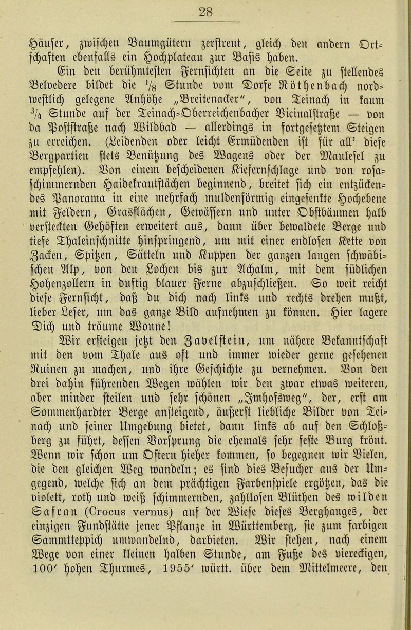 Späufer, ätnifcpen Baumgütern äerftreut, gleid) ben anbern Ort* fdjaften ebenfalls ein §od)plateau jur BajiS paben. (Sin ben beriipntteften $ernficpten an bie ©eite ju ftellenbeS Belüebere bitbet bie '/8 ©tunbe Dom ©orfe 9tötpenbadj norb= meftlid) gelegene 5tnpöpe „Breitenader, non Steinact) in faum 3/4 ©tunbe auf ber £einadj=0berreidjenbad)er Bicinalftrape — non ba Sßoftftrajje nad) ÜEßilbbab — aßerbingS in fortgefeptem ©teigen 5u erreichen. (Seibenben ober leidpt (Srmübenben ift für alt’ biefe Bergpartien ftetS Benüpung be§ SßagenS ober ber Btaulefel ju empfehlen). Bon einem befdjeibenen $tefernfd)lage unb non roja= fdjitmnernben Spaibcfrantflädjen beginnenb, breitet fidp ein entlüden* beS Panorama in eine meprfadj mulbenförmig eingefenfte §od)ebene mit Reibern, ©raSflädpen, ©emäffern unb unter Obftbäumen palb nerftedten ©elften ermeitert aus, bann über bemalbete Berge unb tiefe £paleinfd)nitte pinfpringenb, um mit einer enblofen $ette non Baden, ©pipen, ©ättetn unb kuppen ber ganzen langen fdjmäbU fdjett 911p, non ben Sodpett bis gur 91cpalm, mit bem füblidpen Ipopenjollern in buftig blauer $erne abgufdjliefjen. ©o meit reicht biefe $ernfidpt, bajj bu bid) nad) linfS unb redjtS brepen mujjt, lieber Sefer, um baS gange Bilb aufnepmen gu fönnen. §ier lagere ®idp unb träume Sßonnel 2Bir erfteigen jept ben Banelftein, um nähere Bcfanntfdpaft mit ben nom Stt;ale aus oft unb immer micber gerne gefe^enen Buinen gu madjen, unb il)re ©efdpidpte gu nernepmen. Bon ben brei bapin füprenben ÜEßegen mäpleit mir ben gmar etmaS meiteren, aber minber fteilen unb fepr fdjönen „BmpofSmeg, ber, erft am ©ommenparbter Berge anfteigenb, üujjerft Ueblicpe Bilber non £ei= nad) unb feiner Umgebung bietet, bann linlS ab auf ben ©d)lop= berg 511 fiiprt, beffen Borfprung bie cpemalS fepr fefte Burg frönt. 2Benn mir fdpon um Oftern pieper fommen, fo begegnen mir Bielen, bie ben gleid)en 2öeg manbeln; eS finb bieS Befud)er aus ber Unt= gegenb, meld)e fid) an bem prächtigen $arbenfpiele ergöpen, baS bie niolett, rotp unb meijj fepimmernben, gapUofen Blütpen beS milben ©afran (Crocus vernus) auf ber StÖiefe bicfeS BergpangcS, ber einzigen $nnbftätte jener ^pflange in SBürttemberg, fie 511m farbigen ©ammtteppid) ummaubelnb, barbieten. 2öir ftepen, nad) einem SEßege non einer fleinen palben ©tunbe, am ^tipe beS nieredigen, 100' popeit SlpurmcS, 1955' miirtt. über bem BUttelmccre, ben