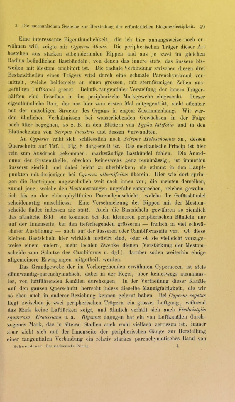 Eine interessante Ei^enthüniliehkeit, die ich hier anhangsweise noch er- wähnen will, zeigte mir Cyperus Monti. Die peripherischen Träger dieser Art bestehen aus starken sube^jidernialen Rippen und aus je zwei im gleichen Radius befindlichen BastbUudeln, von denen das innere stets, das äussere bis- weilen mit Mestom combinirt ist. Die radiale Verbindung zwischen diesen drei Bestandtheilen eines Trägers wird durch eine schmale Parenchymwand ver- mittelt, welche beiderseits an einen grossen, mit sternförmigen Zellen aus- gefüllten Luftkanal grenzt. Behufs- tangentialer Versteifung der inncrn Träger- hälften sind dieselben in das peripherische Markgewebe eingesenkt. Dieser eigenthlimliche Bau, der uns hier zum ersten Mal entgegentritt, steht offenbar mit der maschigen Structur des Organs in engem Zusammenhang. Wir wer- den ähnlichen Verhältnissen bei wasserliebenden Gewächsen in der Folge noch öfter begegnen, so z. B. in den Blättern von Txjpha latifolia und in den Blattscheiden von Scirpus lacustris und dessen Verwandten. An Cypenis reiht sich schliesslich noch Scirpus Holosclioenus an, dessen Querschnitt auf Taf. I, Fig. 8 dargestellt ist. Das mechanische Princip ist hier rein zum Ausdruck gekommen: markstäudige BastbUndel fehlen. Die Anord- nung der Svstemtheile. obschon keineswegs ganz regelmässig, ist immerhin äusserst zierlich und dabei leicht zu Uberblicken; sie stimmt in den Haupt- punkten mit derjenigen bei Cyperus ulternifolms überein. Hier wie dort sprin- gen die Bastrippeu ungewöhnlich weit nach innen vor; die meisten derselben, zumal jene, welche den Mestomsträngeu ungefähr entsprechen, reichen gewöhn- lich bis zu der chlorophvllfreien Parenchvmschicht. welche die GefässbUndel scheidenartig umschliesst. Eine Verschmelzung der Rippen mit der Mestom- scheide findet indessen nie statt. Auch die Bastsicheln gewähren so ziemlich das nämliche Bild: sie kommen bei den kleineren peripherischen Bündeln nur auf der Innenseite, bei den tieferliegenden grösseren — freilich in viel schwä- cherer Ausbildung — auch auf der äusseren oder Cambiformseite vor. Ob diese kleinen Bastsicheln hier wirklich motivirt sind, oder ob sie vielleicht vorzugs- weise einem andern, mehr localen Zwecke dienen (Verstärkung der Mestom- scheide zum Schutze des Cambiforms u. dgl.), darüber sollen weiterhin einige allgemeinere Erwägungen mitgetheilt werden. Das Grundgewebe der im Vorhergehenden erwähnten Cj'peraceen ist stets dünnwandig-parenchymatisch, dabei in der Regel, aber keineswegs ausnahms- los, von luftführenden Kanälen durchzogen. In der Vertheilung dieser Kanäle auf den ganzen Querschnitt herrscht indess dieselbe Mannigfaltigkeit, die wir so eben auch in anderer Beziehung kennen gelernt haben. Bei Cyperus regetus liegt zwischen je zwei peripherischen Trägern ein grosser Luftgang, während das Mark keine Luftlücken zeigt, und ähnlich verhält sich auch Fimhristylis squarrosa, Kraussiana u. a. Blysmus dagegen hat ein von Luftkanälen durch- zogenes Mark, das in älteren Stadien auch wohl vielfach zerrissen ist; immer aber zieht sich auf der Innenseite der peripherischen Gänge zur Herstellung einer tangentialen Verbindung ein relativ starkes parenchymatisches Band von S c h w e n (1 e n e r, Das mecliaiiiscbe Princip. _ 4