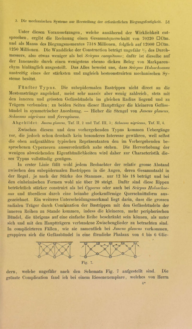 Unter diesen Voraussetzungen, welche annähernd der Wirkliclikeit ent- sprechen, ergibt die Keclinung einen Gesaniuitqncrschnitt von 70220 DCtni. und als Maass des Biegungsmomentes 7318 Millionen, folglich auf 12000 DCtm. 1250 Millionen. Die Wanddicke der Construction beträgt ungefähr des Durch- messers, also etwas weniger als bei Scirpiis caespitosuts \ dafür ist dieselbe auf der Innenseite durch einen wenigstens ebenso dicken Beleg von Markparen- chym hinlänglich ausgesteift. Das Alles beweist uns, dass Scirpus Ilolosrhoenus unstreitig eines der stärksten und zugleich bestconstruirten mechanischen Sy- steme besitzt. Flinfter Typus. Die subepidermalen Bastrippen nicht direct an die Mestomstränge angelehnt, meist sehr massiv aber wenig zahlreich, stets mit den inneren und grössten GefässbUndeln im gleichen Radius liegend und zu Trägern verbunden; zu beiden Seiten dieser Hauptträger die kleineren Gefäss- blindel in symmetrischer Anordnung, — Hieher die Stengel von Jimcus glaucus, Schoenus nigricans und ferrugineus. Abgebildet: Juneiis glaucus, Taf. II, 2 und Taf. III, Schoenus nigricans, Taf. II, 4. Zwischen diesem und dem vorhergehenden Typus kommen Uebergänge vor, die jedoch schon desshalb kein besonderes Interesse gewähren, weil selbst die oben aufgezählten typischen Repräsentanten den im Vorhergehenden be- sprochenen Cyperaceen ausserordentlich nahe stehen. Die Hervorhebung der wenigen abweichenden Eigenthümlichkeiten wird daher zur Characteristik die- ses Typus vollständig genügen. In erster Linie fällt wohl jedem Beobachter der relativ grosse Abstand zwischen den subepidermalen Bastrippen in die Augen, deren Gesammtzahl in der Regel, je nach der Stärke des Stammes, nur 12 bis 18 beträgt und bei den einheimischen Formen wohl nie Uber 20 steigt. Dafür sind diese Rippen beträclitlich stärker construirt als bei Öyperus oder auch bei Scirpus Holoschoe- nus und überdiess durch eine beinahe glockenförmige Querschnittsform aus- gezeichnet. Ein weiteres Unterscheidungsmerkmal liegt darin, dass die grossen radialen Träger durch Combination der Bastrippen mit den GefässbUndeln der inneren Reihen zu Stande kommen, indess die kleineren, mehr peripherischen Bündel, die übrigens auf eine einfache Reihe beschränkt sein können, als unter sich und mit den Hauptträgern verbundene Zwischenglieder zu betrachten sind. In complicirteren Fällen, wie sie namentlich bei Jimcus glaucus vorkommen, gruppiren sich die GefässbUndel in eine förndiche Phalanx von 4 bis 6 Glie- Fig. 7. dern, welche ungefähr nach den Schemata Fig. 7 aufgestellt sind. Die grösste Complication fand ich bei einem Riesenexemplare, welches von Herrn 4*