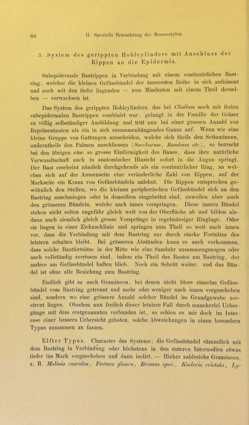 3. System des gerippten Hohlcy Ii ndcrs mit Anschluss der Rippen an die Epidermis. Subepidennule Bastrippen in Verbindung mit einem continuirlichen ßast- ring. welcher die kleinen Gefässbündel der äussersten Reihe in sich aufnimmt und auch mit den tiefer liegenden — zum Mindesten mit einem Theil dersel- ben — verwachsen ist. Das System des gerippten Hohlcylinders. das bei Cladhim noch mit freien subepidermalen Bastrippen combinirt war, gelangt in der Familie der Gräser zu völlig selbständiger Ausbildung und tritt nun bei einer grossen Anzahl von Repräsentanten als ein in sich zusammenhängendes Ganze auf. Wenn wir eine kleine Gruppe von Gattungen ausscheiden, welche sich theils den Scitamineen, anderntheils den Palmen anschliessen [Saccharum. Bambusa etc.), so herrscht bei den übrigen eine so grosse Einförmigkeit des Baues, dass ihre natürliche Verwandtschaft auch in anatomischer Hinsicht sofort in die Augen springt. Der Bast erscheint nämlich durchgehends als ein continuirlicher Ring, an wel- chen sich auf der Aussenseite eine veränderliche Zahl von Rippen, auf der Markseite ein Kranz von Gefässbündeln anlehnt. Die Rippen entsprechen ge- wöhnlich den Stellen, wo die kleinen peripherischen Gefässbündel sich an den Bastring anschmiegen oder in denselben eingebettet sind, zuweilen aber auch den grösseren Bündeln, welche nach innen vorspringen. Diese Innern Bündel stehen nicht selten ungefähr gleich weit von der Oberfläche ab und bilden als- dann auch ziemlich gleich grosse Vorsprünge in regelmässiger Ringlage. Oder sie liegen in einer Zickzacklinie und springen zum Theil so weit nach innen vor, dass die Verbindung mit dem Bastring nur durch starke Fortsätze des letztern erhalten bleibt. Bei grösseren Abständen kann es auch vorkommen, dass solche Bastfortsätze in der Mitte wie eine Sanduhr zusammengezogen oder auch vollständig zerrissen sind, indem ein Theil des Bastes am Bastring, der andere am Gefässbündel haften blieb. Noch ein Schritt weiter, und das Bün- del ist ohne alle Beziehung zum Bastring. Endlich gibt es auch Gramineen, bei denen nicht bloss einzelne Gefäss- bündel vom Bastring getrennt und mehr oder weniger nach innen vorgeschoben sind, sondern wo eine grössere Anzahl solcher Bündel im Grundgewebe zer- streut liegen. Obschon nun freilich dieser letztere Fall durch mancherlei Ueber- gänge mit dem erstgenannten verbunden ist, so schien es mir doch im Inter- esse einer bessern Uebersicht geboten, solche Abweichungen in einen besondern Typus zusammen zu fassen. Elfter Typus. Character des Systems; die Gefässbündel sämmtlich mit dem Bastring in Verbindung oder höchstens in den unteren Internodien etwas tiefer ins Mark vorgeschoben und dann isolirt. — Hieher zahlreiche Gramineen, z. B. Molinia coerulea, Festuca glauca, Bromus spec. Koelcria cristata, Ly-