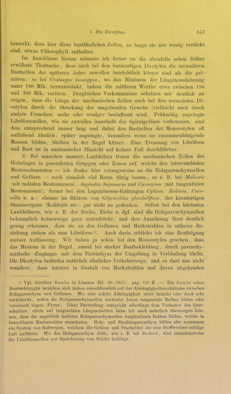 bemerkt, dass hier diese l)astähnlidien Zellen, so laiig-Q sie nur wenig verdickt sind, etwas Chlorophyll enthalten. Im Anschlüsse hieran erinnere ich ferner an die ebenfalls schon früher erwähnte Tliatsache, dass auch bei den baumartigen Dicotylen die secundären Hastzellen der späteren Jahre zuweilen beträchtlich kürzer sind als die pri- mären: so bei Crataegus momcjyna, wo das Minimum der Längenausdehnung' unter JOO Mik. lieruntersinkt, indess die mittleren Werthe etwa zwischen 150 und 300 Mik. variiren. Dergleichen Vorkommnisse scheinen mir deutlich zu zeigen, dass die Länge der mechanischen Zellen auch bei den normalsten Di- cotylen durch die Streckung der umgebenden Gewebe (vielleicht auch durch andere Ursachen) mehr oder weniger beeinflusst wird. Frühzeitig angelegte Libriformzellen, wie sie zuweilen innerhalb der Spiralgefässe vorkonnnen, sind dem entsprechend immer lang und dabei den Bastzellen der Monoc()t} len oft auffallend ähnlich; später angelegte, besonders wenn sie zusammenhängende Massen bilden, bleiben in der Kegel kürzer. Eine Trennung von Libriform und Bast ist in anatomischer Hinsicht auf keinen Fall durchführbar. 3) Bei manchen unserer^ Laubhölzer treten die mechanischen Zellen des Holzringes in gesonderten Gruppen oder Zonen auf, welche den intracambialen Mestomelementen — ich denke hier vorzugsweise an die Holzparenchymzellen und Gefässe — no(!h ziemlich viel Raum übrig lassen, so z. B. bei Malwniu imit radialen Mestomzoneni. Sapindus Saponaria und Casuarina (mit tangentialen Mestomzonen), ferner bei den Leguminosen-Gattungen Cytisus, Rohinia. Coro- nilla 11. a.; ebenso im Rhizom von Glycirrhiza cjhmduhfera. der krautartigen Stammorgane (Kohlrabi etc., gar nicht zu gedenken. Sell)st bei den härtesten Laubhrdzern, wie z. B. der Buche, Eiche u. dgl. sind die Holzparenchymzellen bekanntlich keineswegs ganz unterdrückt, und ihre Anordnung lässt deutlieh genug erkennen, dass sie zu den Gefässen und Markstrahlen in näherer Be- ziehung stehen als zum Libriform'). Auch darin erblicke ich eine Bestätigung meiner Auffassung. Wir haben ja schon bei den Monocotylen gesehen, dass das Mestom in der Kegel, zumal bei starker Bastbekleidung, durch parench}- matische »^Zugänge« mit dem Parenchym der Umgebung in Verbindung bleibt. Die Dicotylen bedürfen natürlich ähnlicher Verkehrswege, und es darf uns nicht wundern, dass letztere in Gestalt von Markstrahlen und davon abgehenden ij Vgl. hierüber Sanio in Linnaea Bd. 29 (1857), pa^?. \\\\ ff. — Die Sanio schen Beobachtungen beziehen sich indess ausschliesslich auf das Abhängigkeitsvcihältniss zwisclien Iloizparcnchym und Gefässen. Wo eine solche Abhängigkeit nicht besteht oder doch sehr zurücktritt, sollen die Holzparenchynizellen entweder kurze tangentiale Reihen bilden oder vereinzelt liegen (Pyrus). Diese Darstellung entspricht allerdings dem Verhalten des Quer- schnittes ; allein auf tangentialen Längsschnitten habe ich mich mehrfach überzeugen kön- nen, dass die angeblich isolirten Holzparenchymzellen longitudinale Reihen bilden, welche in benachbarte Markstrahlen ausmünden. Holz- und Strahlenparenchyni bilden also zusammen ein System von Saftwegen, welchem die Gefässe und Tracheiden die zum Stoffwechsel nöthige Luft zuführen. Wo das Holzparenchym fehlt, wie z. B. bei lierheris, sind ausnahmsweise die Libriformzellen zur Speicherung von Stärke befähigt.