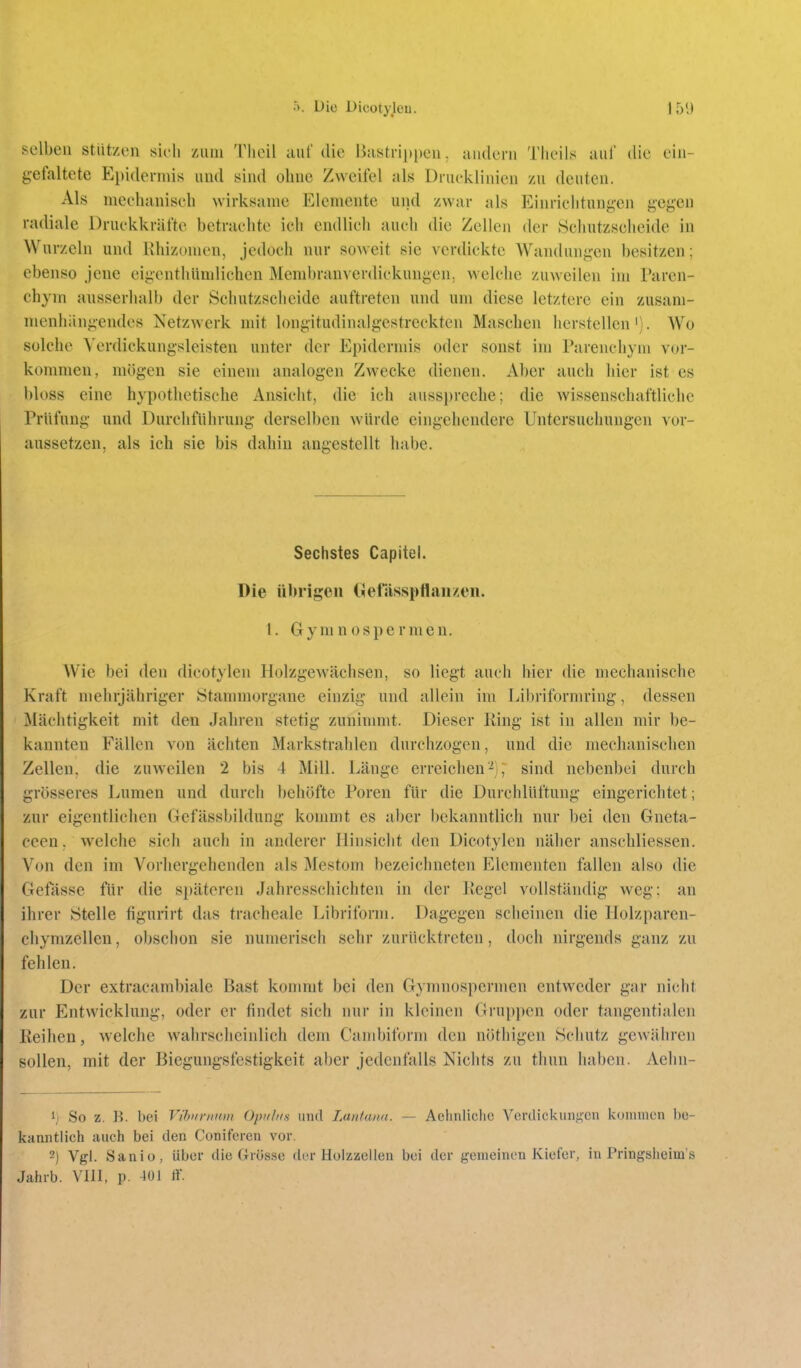 selben stiit/en sk'li zum Tlieil auf die liastrii)[)eu. andern Tlicils aul' tlie ein- gefaltete Epidermis und sind ohne Zweifel als Drucklinien zu deuten. Als mechanisch wirksame Elemente und zwar als Einriclitun^-en gegen radiale Druckkräfte betrachte ich endlicli auch die Zellen der Schutzscheide in Wurzeln und Khizomen, jedoch nur soweit sie verdickte AVaiidungen besitzen; ebenso Jene eigenthiimlicheu Membranverdickuugen. welche zuweilen im Paren- chym ausserhalb der Schutzscheide auftreten und um diese letztere ein zusam- menhiingendes Netzwerk mit longitudinalgestreckten Maschen herstellen'). Wo solche Verdickungsleisten unter der Epidennis oder sonst im Parenchym vor- kommen, mögen sie einem analogen Zwecke dienen. Aber auch hier ist es bloss eine hypothetische Ansicht, die ich ausspreche; die wissenschaftliche Prüfung und Durchführung derselben würde eingehendere Untersuchungen vor- aussetzen, als ich sie bis dahin angestellt habe. Sechstes Capitel. Die übrigen dleriisspflaiizen. t. Gymnospermen. Wie bei den dicotylen Holzgewächsen, so liegt auch hier die mechanische Kraft mehrjähriger Stammorgane einzig und allein im Libriformring, dessen Mächtigkeit mit den Jahren stetig zuninnnt. Dieser King ist in allen mir be- kannten Fällen von ächten Markstrahlen durchzogen, und die mechanischen Zellen, die zuweilen 2 bis 4 Mill. Länge erreichen•^)' sind nebenbei durch grösseres Lumen und durch behöftc Poren für die Durchlüftung eingerichtet; zur eigentlichen Gefässbildung kommt es aber bekanntlich nur bei den Gneta- ceen. welche sich auch in anderer Hinsicht den Dicotylen näher anschliessen. Von den im Vorhergehenden als Mestom bezeichneten Elementen fallen also die Gefässe für die späteren Jahresschicliten in der Kegel vollständig weg: an ihrer Stelle figurirt das tracheale Libriform. Dagegen scheinen die Holzparen- chynizelleu, obschon sie numerisch sehr zurücktreten, doch nirgends ganz zu fehlen. Der extracambiale Bast kommt bei den Gymnospermen entweder gar nicht zur Entwicklung, oder er findet sich nur in kleinen Grupi)cn oder tangentialen Reihen, welche wahrscheinlich dem Cambiform den nöthigcn Schutz gewähren sollen, mit der Biegungsfestigkeit aber jedenfalls Nichts zu thun haben. Aehn- 1) So z. B. bei Viburiinut Opulns und Luuiand. — Aclinlichc Verdickungen kommen be- kanntlich auch bei den Coniferen vor. 2) Vgl. Sanio, Uber die Grösse der Holzzeilen bei der gemeinen Kiefer, in Pringsheim's Jahrb. VllI, p. 401 if.