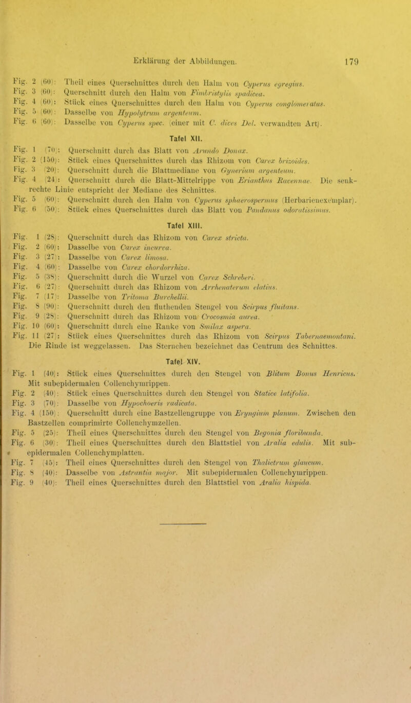 Fig. •> iüO): Fig. 3 ;()(): Fig. 4 M,: Fig. 5 (bU): Fi»-. t) (GO): Fig. 1 (Tu.: Fig. 2 (150]: Fig. ■i f20): Fi-. 4 (24: rechte L Fig. 5 (60): Fig. 0 (50): Fig. 1 (28): Fiü:. 2 (60): Fig. ■^ (2Tl: Fig. 4 (60): Fig. 5 (3S): Fig. 6 (27): Fig. 7 (17): Fig. 8 (90): Fig. 9 (28): Fig. 10 (60): Fig. 11 (27): Dasselbe von Ili/po/i/inoii argentotm. Dasselbe von Cypems spec. (einer mit C. divcs Del. verwandten Art). Tafel XII. Querschnitt durch das Blatt von Arundo Donax. Querschnitt durch die Blatt-Mittelrippe von Ericuithiis Rucennac Die senk- lie entspricht der Mediane des Schnittes. Querschnitt durch den Halm von Cypvrus sphaerospermus (Herbarienexelnplar). Stück eines Querschnittes durch das Blatt von Pandunus odomtissimus. Tafel XIII. Querschnitt durch das Rhizom von Carex strictu. Dasselbe von Carex incurva. Dasselbe von Carex limosu. Dasselbe von Carex chordorrhiza. Querschnitt durch die Wurzel von Carex Schreberi Querschnitt durch das Rhizom von Arrhenaterum elatiiis. Dasselbe von Tritoma Bitrchellii. Querschnitt durch den Huthenden Stengel von Scirpus fluitans. Querschnitt durch das Rhizom von Crocosmia aurea. Querschnitt durch eine Ranke von Smilax aspera. Stück eines Querschnittes durch das Rhizom von Scirpus Tuhernaemontani. Die Rinde ist weggelassen. Das Sternchen bezeichnet das Centrum des Schnittes. Tafel XIV. Fig. 1 (40): Stück eines Querschnittes durch den Stengel von Blüum Bonus Henricus. Mit subepidermalen CoUeuchymrippen. Fig. 2 (40): Stück eines Querschnittes durch den Stengel von Statice lutifolia. Fig. 3 (70); Dasselbe von Hypochoeris rudicata. Fig. 4 (150): Querschnitt durch eine Bastzellengruppe vom Eryngium planum. Zwischen den Bastzellen comprimirte CoUenchymzellen. Fig. 5 (25;: Theil eines Querschnittes durch den Stengel von Begonia floribunda. Fig. 6 (30): Theil eines Querschnittes durch den Blattstiel von Aralia edtilis. Mit sub- * epidermalen Colienchymplatten. Fig. 7 ^45j: Theil eines Querschnittes durch den Stengel von Thalictriun ylaucnm. Fig. S (40): Dasselbe von Astrantiu major. Mit subepidermalen CoUeuchymrippen. Fig. 9 (40): Theil eines Querschnittes durch den Blattstiel von Aralia hispida.