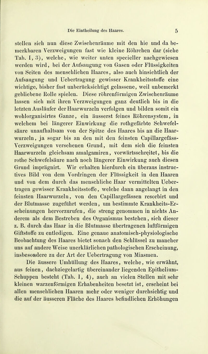 stellen sich nun diese Zwischenräume mit den hie und da be- merkbaren Verzweigungen fast wie kleine Röhrchen dar (siehe Tab, I, 3), welche, wie weiter unten specieller nachgewiesen werden wird, bei der Aufsaugung von Gasen oder Flüssigkeiten von Seiten des menschlichen Haares, also auch hinsichtlich der Aufsaugung und Uebertragung gewisser KrankheitsstoflFe eine wichtige, bisher fast unberücksichtigt gelassene, weil unbemerkt gebliebene Rolle spielen. Diese röhrenförmigen Zwischenräume lassen sich mit ihren Verzweigungen ganz deutlich bis in die letzten Ausläufer der Haarwurzeln verfolgen und bilden somit ein wohlorganisirtes Ganze, ein äusserst feines Röhrensystem, in welchem bei längerer Einwirkung die rothgefärbte Schwefel- säure unaufhaltsam von der Spitze des Haares bis an die Haar- wurzeln, ja sogar bis an den mit den feinsten Capillargefäss- Verzweigungen versehenen Grund, mit dem sich die feinsten Haarwurzeln gleichsam amalgamiren, vorwärtsschreitet, bis die rothe Schwefelsäure nach noch längerer Einwirkung auch diesen Grund imprägnirt. Wir erhalten hierdurch ein überaus instruc- tives Bild von dem Vordringen der Flüssigkeit in den Haaren und von dem durch das menschliche Haar vermittelten Ueber- tragen gewisser Krankheitsstoffe, welche dann angelangt in den feinsten Haarwurzeln, von den Capillargefässen resorbirt und der Blutmasse zugeführt werden, um bestimmte Krankheits-Er- scheinungen hervorzurufen, die streng genommen in nichts An- derem als dem Bestreben des Organismus bestehen, sich dieser z. B. durch das Haar in die Blutmasse übertragenen luftförmigen Giftstoffe zu entledigen. Eine genaue anatomisch-physiologische Beobachtung des Haares bietet sonach den Schlüssel zu mancher uns auf andere Weise unerklärlichen pathologischen Erscheinung, insbesondere zu der Art der Uebertragung von Miasmen. Die äussere Umhüllung des Haares, welche, wie erwähnt, aus feinen, dachziegelartig übereinander liegenden Epithelium- Schuppen besteht (Tab. 1,4), auch an vielen Stellen mit sehr kleinen warzenförmigen Erhabenheiten besetzt ist, erscheint bei allen menschlichen Haaren mehr oder weniger durchsichtig und die auf der äusseren Fläche des Haares befindlichen Erhöhungen