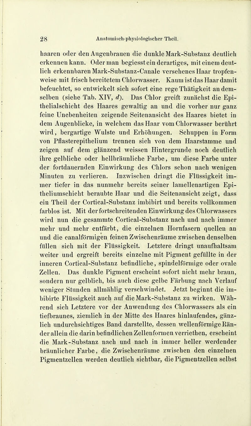 haaren oder den Augenbrauen die dunkle Mark-Substanz deutlich erkennen kann. Oder man begiesst ein derartiges, mit einem deut- lich erkennbaren Mark-Substanz-Canale versehenes Haar tropfen- weise mit frisch bereitetem Chlorwasser. Kaum ist das Haar damit befeuchtet, so entwickelt sich sofort eine rege Thätigkeit an dem- selben (siehe Tab. XIV, fi?). Das Chlor greift zunächst die Epi- thelialschicht des Haares gewaltig an und die vorher nur ganz feine Unebenheiten zeigende Seitenansicht des Haares bietet in dem Augenblicke, in welchem das Haar vom Chlorwasser berührt wird, bergartige Wulste und Erhöhungen. Schuppen in Form von Pfiasterepithelium trennen sich von dem Haarstamme und zeigen auf dem glänzend weissen Hintergrunde noch deutlich ihre gelbliche oder hellbräunliche Farbe, um diese Farbe unter der fortdauernden Einwirkung des Chlors schon nach wenigen Minuten zu verlieren. Inzwischen dringt die Flüssigkeit im- mer tiefer in das nunmehr bereits seiner lamellenartigen Epi- theliumschicht beraubte Haar und die Seitenansicht zeigt, dass ein Theil der Cortical-Substanz imbibirt und bereits vollkommen farblos ist. Mit der fortschreitenden Einwirkung des Chlorwassers wird nun die gesammte Cortical-Substanz nach und nach immer mehr und mehr entfärbt, die einzelnen Hornfasern quellen an und die canalförmigen feinen Zwischenräume zwischen denselben füllen sich mit der Flüssigkeit. Letztere dringt unaufhaltsam weiter und ergreift bereits einzelne mit Pigment gefüllte in der inneren Cortical-Substanz befindliche, spindelförmige oder ovale Zellen. Das dunkle Pigment erscheint sofort nicht mehr braun, sondern nur gelblich, bis auch diese gelbe Färbung nach Verlauf weniger Stunden allmählig verschwindet. Jetzt beginnt die im- bibirte Flüssigkeit auch auf die Mark-Substanz zu wirken. Wäh- rend sich Letztere vor der Anwendung des Chlorwassers als ein tiefbraunes, ziemlich in der Mitte des Haares hinlaufendes, gänz- lich undurchsichtiges Band darstellte, dessen wellenförmige Rän- der allein die darin befindlichen Zellenformen verriethen, erscheint die Mark-Substanz nach und nach in immer heller werdender bräunlicher Farbe, die Zwischenräume zwischen den einzelnen Pigmentzellen werden deutlich sichtbar, die Pigmentzellen selbst