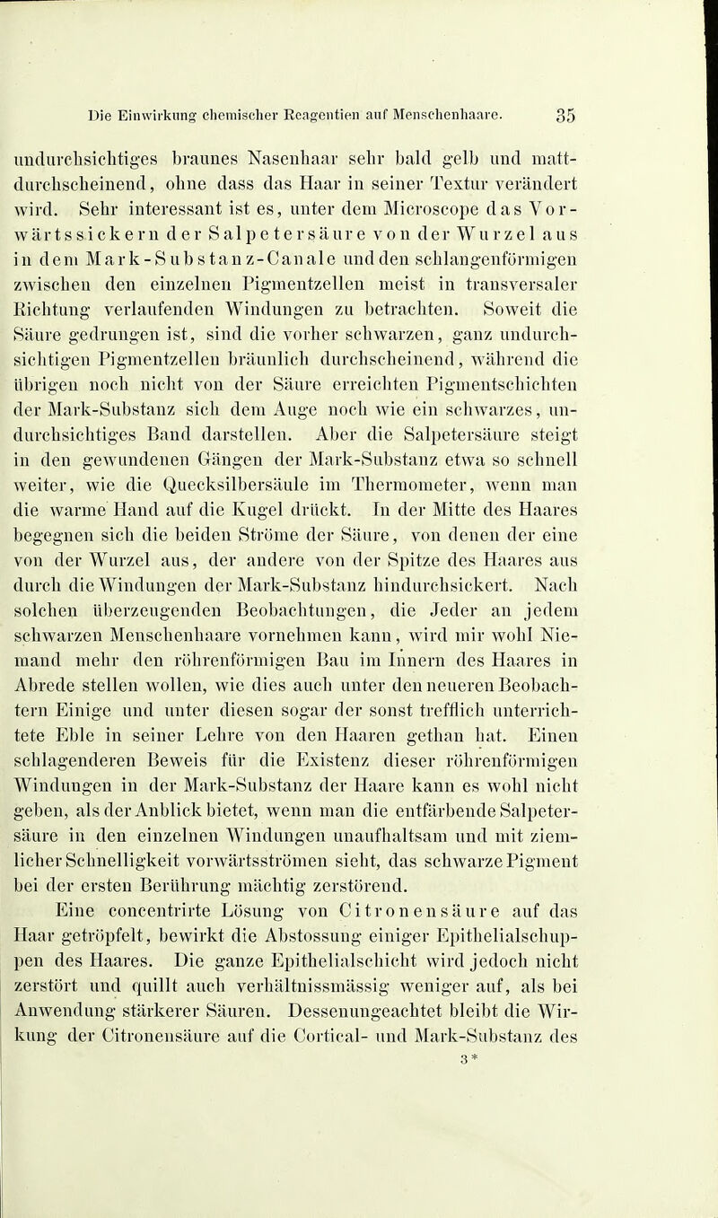 imdurclisichtiges braunes Nasenbaar sebr bald gelb und niatt- durcbscbeinend, obne dass das Haar in seiner Textur verändert wird. Sebr interessant ist es, unter dem Microscope das Vor- wärts sickern der Salpetersäure von der Wurzel aus in dem Mark-S übst an z-C anale und den scblangenförmigen zwiseben den einzelnen Pigmentzellen meist in transversaler Ricbtung verlaufenden Windungen zu betracbten. Soweit die Säure gedrungen ist, sind die vorber schwarzen, ganz undurch- sichtigen Pigmentzelleu bräunlich durchscheinend, während die übrigen noch nicht von der Säure erreichten Pigmentschichten der Mark-Substanz sich dem Auge noch wie ein schwarzes, un- durchsichtiges Band darstellen. Aber die Salpetersäure steigt in den gewundenen Gängen der Mark-Substanz etwa so schnell weiter, wie die Quecksilbersäule im Thermometer, wenn man die warme Hand auf die Kugel drückt. In der Mitte des Haares begegnen sich die beiden Ströme der Säure, von denen der eine von der Wurzel aus, der andere von der Spitze des Haares aus durch die Windungen der Mark-Substanz hindurohsickert. Nach solchen überzeugenden Beobachtungen, die Jeder an jedem schwarzen Menschenhaare vornehmen kann, wird mir wohl Nie- mand mehr den röhrenförmigen Bau im Innern des Haares in Abrede stellen wollen, wie dies auch unter den neueren Beobach^ tern Einige und unter diesen sogar der sonst trefHich unterrich- tete Eble in seiner Lehre von den Haaren gethan hat. Einen schlagenderen Beweis für die Existenz dieser röhrenförmigen Windungen in der Mark-Substanz der Haare kann es wohl nicht geben, als der Anblick bietet, wenn man die entfärbende Salpeter- säure in den einzelnen Windungen unaufhaltsam und mit ziem- licher Schnelligkeit vorwärtsströnien sieht, das schwarze Pigment bei der ersten Berührung mächtig zerstörend. Eine concentrirte Lösung von Citronensäure auf das Haar getröpfelt, bewirkt die Abstossung einiger EpithelialschUp- pen des Haares. Die ganze Epithelialschicht wird jedoch nicht zerstört und quillt auch verhältnissmässig weniger auf, als bei Anwendung stärkerer Säuren. Dessenungeachtet bleibt die Wir- kung der Citronensäure auf die Cortical- und Mark-Substanz des 3*