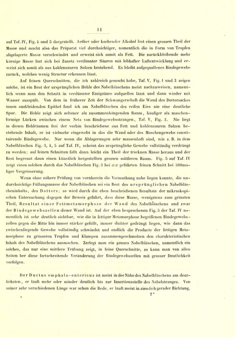 Masse und macht also das Präparat viel durchsichtiger, namentlich die in Form von Tropfen abgelagerte Masse verschwindet und erweist sich somit als Fett. Die zurückbleibende mehr körnige Masse löst sich bei Zusatz verdünnter Säuren mit lebhafter Luftentwicklung und er- weist sich somit als aus kohlensauren Salzen bestehend. Es bleibt aufgequollenes Bindegewebe zurück, welches wenig Structur erkennen lässt. Auf feinen Querschnitten, die ich zahlreich gemacht habe, Taf. V, Fig. 4 und 3 zeigen solche, ist ein Rest der ursprünglichen Döhle des Nabelbläschens meist nachzuweisen, nament- lich wenn man den Schnitt in verdünnter Essigsäure aufquellen lässt und dann wieder mit Wasser ausspült. Von dem in früherer Zeit der Schwangerschaft die Wand des Dotiersackes innen auskleidenden Epithel fand ich am Nabelbläschen des reifen Eies nie eine deutliche Spur. Die Höhle zeigt sich seltener als zusammenhängenden Raum, häufiger als maschen- förmige Lücken zwischen einem Netz von Bindegewebssträngen, Taf. V, Fig. 3. Nie liegt in diesen Hohlräumen frei der vorhin beschriebene aus Fett und kohlensauren Salzen be- stehende Inhalt, er ist vielmehr eingewebt in das die Wand oder das Maschengewebe consti- tuirende Bindegewebe. Nur wenn die Ablagerungen sehr massenhaft sind, wie z. B. in dem Nabelbläschen Fig.. 3, 4, 5 auf Taf. IV, scheint das ursprüngliche Gewebe vollständig verdrängt zu werden; auf feinen Schnitten fällt dann leicht ein Theil der trocknen Masse heraus und der Best begrenzt dann einen künstlich hergestellten grossen mittleren Raum. Fig. 5 auf Taf. IV zeigt einen solchen durch das Nabelbläschen Fig. 3 bei xx geführten feinen Schnitt bei 300ma- liger Vergrösserung. Wenn ohne nähere Prüfung von vornherein die Vermuthung nahe liegen konnte, die un- durchsichtige Füllungsmasse der Nabelbläschen sei ein Best des ursprünglichen Nabelbläs- cheninhalts, des Dotters; so wird durch die eben beschriebenen Resultate der mikroskopi- schen Untersuchung dagegen der Beweis geführt, dass diese Masse, wenigstens zum grössten Theil, Resultat einer Fettmetamorphose der Wand des Nabelbläschens und zwar der Bindegewebszellen dieser Wand ist. Auf der eben besprochenen Fig. 5 der Taf. IV na- mentlich ist sehr deutlich sichtbar, wie die in fettiger Metamorphose begriffenen Bindegewebs- zellen gegen die Mitte hin immer stärker gefüllt, immer dichter gedrängt liegen, wie dann das zwischenliegende Gewebe vollständig schwindet und endlich die Producte der fettigen Meta- morphose zu grösseren Tropfen und Klumpen zusammengeschmolzen den charakteristischen Inhalt des Nabelbläschens ausmachen. Zerlegt man ein ganzes Nabelbläschen, namentlich ein solches, das nur eine mittlere Trübung zeigt, in feine Querschnitte, so kann man von allen Seiten her diese fortschreitende Veränderung der Bindegewebszellen mit grosser Deutlichkeit verfolgen. Der Ductus omphalo-entericus ist meist in der Nähe des Nabelbläschens am deut- lichsten , er läuft mehr oder minder deutlich bis zur Insertionsstelle des Nabelstranges. Von seinersehr verschiedenen Länge warschon die Rede, er läuft meist in ziemlich gerader Richtung,