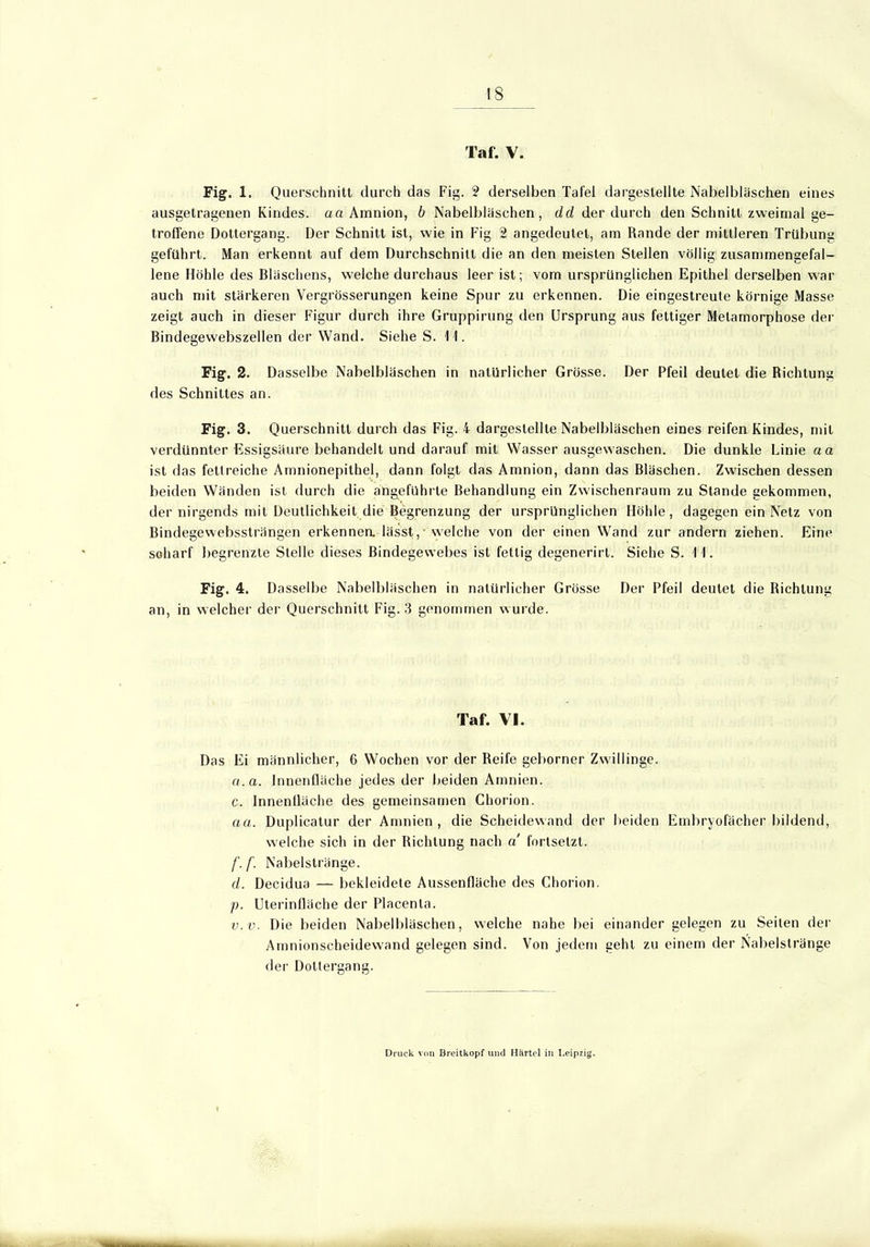 Taf. V. Fig. 1. Querschnitt durch das Fig. 2 derselben Tafel dargestellte Nabelbläschen eines ausgetragenen Kindes, aa Amnion, b Nabelbläschen, dd der durch den Schnitt zweimal ge- troffene Dottergang. Der Schnitt ist, wie in Fig 2 angedeutet, am Rande der mittleren Trübung geführt. Man erkennt auf dem Durchschnitt die an den meisten Stellen völlig zusammengefal- lene Höhle des Bläschens, welche durchaus leer ist; vom ursprünglichen Epithel derselben war auch mit stärkeren Vergrösserungen keine Spur zu erkennen. Die eingestreute körnige Masse zeigt auch in dieser Figur durch ihre Gruppirung den Ursprung aus fettiger Metamorphose der Bindegewebszellen der Wand. Siehe S. 11. Fig. 2. Dasselbe Nabelbläschen in natürlicher Grösse. Der Pfeil deutet die Richtung des Schnittes an. Fig. 3. Querschnitt durch das Fig. 4 dargestellte Nabelbläschen eines reifen Kindes, mit verdünnter Essigsäure behandelt und darauf mit Wasser ausgewaschen. Die dunkle Linie aa ist das fettreiche Amnionepithel, dann folgt das Amnion, dann das Bläschen. Zwischen dessen beiden Wänden ist durch die angeführte Behandlung ein Zwischenraum zu Stande gekommen, der nirgends mit Deutlichkeit die Begrenzung der ursprünglichen Höhle, dagegen ein Netz von Bindegewebssträngen erkennen lässt,' welche von der einen Wand zur andern ziehen. Eine scharf begrenzte Stelle dieses Bindegewebes ist fettig degenerirt. Siehe S. 11. Fig. 4. Dasselbe Nabelbläschen in natürlicher Grösse Der Pfeil deutet die Richtung an, in welcher der Querschnitt Fig. 3 genommen wurde. Taf. VI. Das Ei männlicher, 6 Wochen vor der Reife geborner Zwillinge. a.a. Innenfläche jedes der beiden Amnien. c. Innenlläche des gemeinsamen Chorion. aa. Duplicatur der Amnien , die Scheidewand der beiden Embryofächer bildend, welche sich in der Richtung nach a' fortsetzt. f.f. Nabelstränge. d. Decidua — bekleidete Aussenfläche des Chorion. p. Uterinfläche der Placenta. v.v. Die beiden Nabelbläschen, welche nahe bei einander gelegen zu Seiten der Amnionscheidewand gelegen sind. Von jedem geht zu einem der Nabelstränge der Doltergang. Druck von Breitkopf und Härtel in Leipzig.