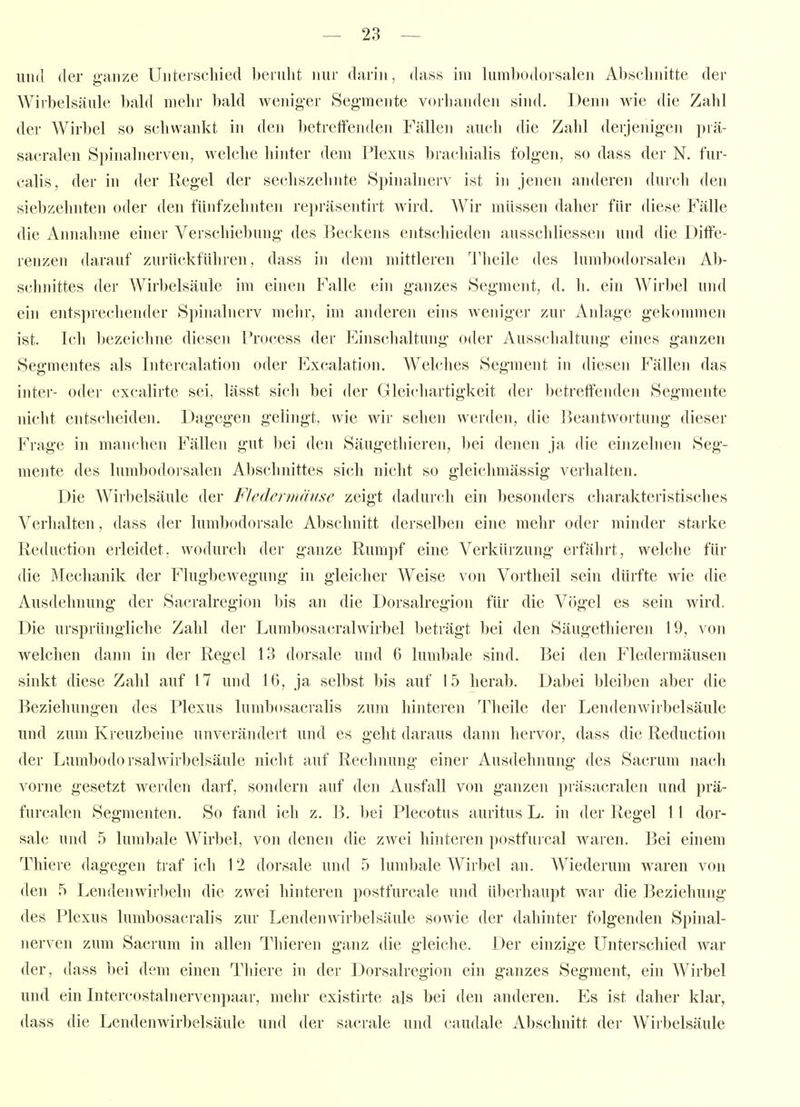 und der ganze Unterschied beruht nur darin, dass im lumhodorsalen Abschnitte der A¥irbelsäule bald mehr bald weniger Segmente vorhanden sind. Denn Avie die Zahl der Wirbel so schwankt in den betreffenden Fällen auch die Zahl derjenigen prä- sacralen Spinalnerven, welche hinter dem Plexus bracldalis folgen, so dass der N. fur- calis, der in der Regel der sechszehnte Spinalneiv ist in jenen anderen durch den siebzehnten oder den fünfzehnten repräsentirt wird. Wir müssen daher für diese Fälle die Annahme einer Verschiebung des Beckens entschieden ausschliessen und die Diffe- renzen darauf zurückführen, dass in dem mittleren Theile des luml)odorsalen Ab- sclmittes der Wirbelsäule im einen Falle ein ganzes Segment, d. h. ein Wirbel und ein entsprechender Spinalnerv mehr, im anderen eins weniger zur Anlage gekommen ist. Ich bezeichne diesen Process der Einschaltung oder Ausschaltung eines ganzen Segmentes als Intercalation oder Excalation. Welches Segment in diesen Fällen das inter- oder excalirte sei, lässt sich bei der Gleiidiartigkeit der betreffenden Segmente nicht entscheiden. Dagegen gelingt, wie wir sehen werden, die Beantwortung dieser Frage in manchen Fällen gut bei den Säugethieren, bei denen ja die einzelnen Seg- mente des lumbodorsalen Abschnittes sich nicht so gleichmässig verhalten. Die Wirbelsäule der Fledermäuse zeigt dadurch ein besonders charakteristisches Verhalten, dass der lumbodorsale Abschnitt derselben eine mehr oder minder starke Reduction erleidet, wodurch der ganze Rumpf eine Verkürzung erfährt, welche für die Mechanik der Flugbewegung in gleicher Weise von Vortheil sein dürfte wie die Ausdehnung der Sacralregion bis an die Dorsalregion für die Vögel es sein wird. Die ursprüngliche Zahl der Lumbosacralwirbel beträgt bei den Säugethieren 19, von welchen dann in der Regel 13 dorsale und 6 lumbale sind. Bei den Fledermäusen sinkt diese Zahl auf 17 und 16, ja selbst bis auf 15 herab. Dabei bleiben aber die Beziehungen des Plexus lumbosacralis zum hinteren Theile der Lendenwirbelsäule und zum Kreuzbeine unverändert und es geht daraus dann hervor, dass die Reduction der Lumbodorsalwirbelsäule nicht auf Rechnung einer Ausdehnung des Sacrum nach vorne gesetzt werden darf, sondern auf den Ausfall von ganzen präsacralen und prä- furcalcn Segmenten. So fand ich z. B. bei Plecotus auritus L. in der Regel 11 dor- sale und 5 lumbale A¥irbel, von denen die zwei hinteren postfurcal waren. Bei einem Thiere dagegen traf ich 12 dorsale und 5 lumbale Wirbel an. Wiederum waren von den 5 Lendenwirbeln die zwei hinteren postfurcale und überhaupt war die Beziehung des Plexus lumbosacralis zur LendenAvirbelsäule sowie der dahinter folgenden Spinal- nerven zum Sacrum in allen Thieren ganz die gleiche. Der einzige Unterschied war der, dass bei dem einen Thiere in der Dorsalregion ein ganzes Segment, ein AVirbel und ein Intercostalnervenpaar, mehr existirte als bei den anderen. Es ist daher klar, dass die Lendenwirbelsäule und der sacrale und caudale Abschnitt der Wirbelsäule