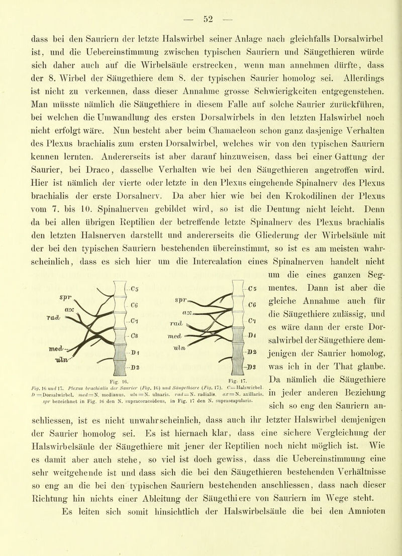 dass bei den Sauriern der letzte Halswirbel seiner Anlage nach gleichfalls DorsahAirbel ist, und die Uebereinstimmung zwischen typischen Sauriern und Säugethieren würde sich daher auch auf die Wirbelsäule erstrecken, wenn man annehmen dürfte, dass der 8. Wirbel der Säugethiere dem 8. der typischen Saurier homolog sei. Allerdings ist nicht zu verkennen, dass dieser Annahme grosse Schwierigkeiten entgegenstehen. Man müsste nämlich die Säugethiere in diesem Falle auf solche Saurier z;urückführen, bei welchen die Umwandlung des ersten Dorsalwirbels in den letzten Halswirbel noch nicht erfolgt wäre. Nun besteht aber beim Chamaeleon schon ganz dasjenige Verhalten des Plexus brachialis zum ersten Dorsalwirbel, welches wir von den typischen Sauriern kennen lernten. Andererseits ist aber darauf hinzuweisen, dass bei einer Gattung der Saurier, bei Draco, dasselbe Verhalten wie bei den Säugethieren angetroffen wird. Hier ist nämlich der vierte oder letzte in den Plexus eingehende Spinalnerv des Plexus brachiaKs der erste Dorsalnerv. Da aber hier wie bei den Krokodilinen der Plexus vom 7. bis 10. Spinalnerven gebildet wird, so ist die Deutung nicht leicht. Denn da bei allen übrigen Reptilien der betreffende letzte Spinalnerv des Plexus brachialis den letzten Halsnerven darstellt und andererseits die Gliederung der Wirbelsäule mit der bei den typischen Sauriern bestehenden übereinstimmt, so ist es am meisten wahr- scheinlich, dass es sich hier um die Intercalation eines Spinalnerven handelt nicht um die eines ganzen Seg- mentes, Dann ist aber die gleiche Annahme auch für die Säugethiere zulässig, und es wäre dann der erste Dor- salwirbel der Säugethiere dem- jenigen der Saurier homolog, was ich in der That glaube. Fig. 16. Fig. 17. Da nämlich die Säugethiere Fig.]{)und\'. Plexus brachialis der Saurier (Fig. Ui) und Säugethiere (Fig. l'i). C'=Halswirbel. . . , , D • Ö =Dorsalwiil)el. mefZ=N. medianus. Mfoi = N. ulnaris. rad=N. radialis. f(X = N. axillaris. Hl JCCier aUdCrCn JjeZieilUng spr bezeichnet in Fig. IB den N. supracoracoideus, in Fig. 17 den N. suprascapnlaris. n • Sich so eng den Sauriern an- schliessen, ist es nicht unwahrscheinlich, dass auch ihr letzter Halswirbel demjenigen der Saurier homolog sei. Es ist hiernach klar, dass eine sichere Vergleichung der Halswirbelsäule der Säugethiere mit jener der Reptilien noch nicht möglich ist. Wie es damit aber auch stehe, so viel ist doch gewiss, dass die Uebereinstimmung eine sehr weitgehende ist und dass sich die bei den Säugethieren bestehenden Verhältnisse so eng an die bei den typischen Sauriern bestehenden anschliessen, dass nach dieser Richtung hin nichts einer Ableitung der Säugethiere von Sauriern im AVege steht. Es leiten sich somit hinsichtlich der Halswirbelsäule die bei den Amnioten rcbdb i-cs i C6 (-Cl rady ^ |jjjjj|--3)2