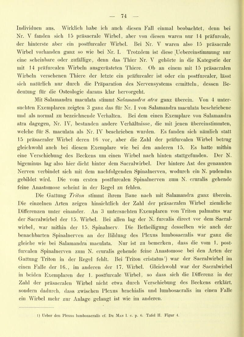 — 74 — Individuen aus. Wirklich habe ich auch diesen Fall einmal beobachtet, denn bei Nr. V fanden sich 15 präsacrale Wirbel, aber von diesen waren nur 14 präfurcale, der hinterste aber ein postfurcaler Wii'bel. Bei Nr. V waren also 15 präsacrale Wirbel vorhanden ganz so wie bei Nr, I. Trotzdem ist diese ^Uebereinstimmung- nur eine scheinbare oder zufällige, denn das Thier Nr. V gehörte in die Kategorie der mit 14 präfurcalen Wirbeln ausgei üsteten Thiere. Ob an einem mit 15 präsacralen Wirbeln versehenen Thiere der letzte ein präfurcaler ist oder ein postfurcaler, lässt sich natürlich nur durch die Präparation des Nervensystems ermitteln, dessen Be- deutung für die Osteologie daraus klar hervorgeht. Mit Salamandra maculata stimmt Salamandra atra ganz tiberein. Von 4 unter- suchten Exemplaren zeigten 3 ganz das für Nr. I von Salamandra maculata beschriebene und als normal zu bezeichnende Verhalten. Bei dem einen Exemplare von Salamandra atra dagegen, Nr. IV, bestanden andere Verhältnisse, die mit jenen übereinstimmten, welche für S. maculata als Nr. IV beschrieben wurden. Es fanden sich nämlich statt 15 präsacraler Wirbel deren 16 vor, aber die Zahl der präfurcalen Wirbel betrug gleichwohl auch bei diesem Exemplare wie bei den anderen 15. Es hatte mithin eine Verschiebung des Beckens um einen Wirbel nach hinten stattgefunden. Der N. bigeminus lag also hier dicht hinter dem Sacralwirbel. Der hintere Ast des genannten Nerven verbindet sich mit dem nachfolgenden Spinalnerven, wodurch ein N. pudendus gebildet wird. Die vom ersten postfurcalen Spinalnerven zum N. cruralis gehende feine Anastomose scheint in der Regel zu fehlen. Die Gattung Triton stimmt ihrem Baue nach mit Salamandra ganz überein. Die einzelnen Arten zeigen hinsichtKch der Zahl der präsacralen Wirbel ziemliche Differenzen unter einander. An 3 untersuchten Exemplaren von Triton palmatus war der Sacralwirbel der 15. Wirbel. Bei allen lag der N. furcalis direct vor dem Sacral- wirbel, war mithin der 15. Spinalnerv. Die Betheiligung desselben wie auch der benachbarten Spinalnerven an der Bildung des Plexus lumbosacralis war ganz die gleiche wie bei Salamandra maculata. Nur ist zu bemerken, dass die vom 1. post- furcalen Spinalnerven zum N. cruralis gehende feine Anastomose bei den Arten der Gattung Triton in der Regel fehlt. Bei Triton cristatus') war der Sacralwirbel im einen Falle der 16., im anderen der 17. Wirbel. Gleichwohl war der Sacralwirbel in beiden Exemplaren der 1. postfurcale Wirbel, so dass sich die Differenz in der Zahl der präsacralen Wirbel nicht etwa durch Verschiebung des Beckens erklärt, sondern dadurch, dass zwischen Plexus brachialis und lumbosacralis im einen Falle ein Wirbel mehr zur Anlage gelangt ist wie im anderen.