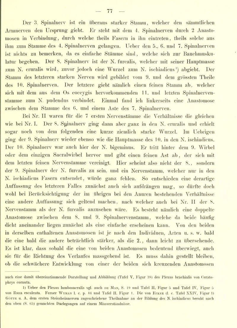 Der 3. Spinalnerv ist ein überaus starker Stamm, welcher den sämmtlichen Armnerven den Ursprung- giebt. Er steht mit dem 4. Spinalnerven durch 2 Anasto- mosen in Verbindung, durch welche tlieils Fasern in ihn eintreten, theils solche aus ihm zum Stamme des 4, Spinalnerven gelangen. Ueber den 5., 6. und 7. Spinalnerven ist nichts zu bemerken, da es einfache Stämme sind, welche sich zur Bauchmusku- latur begeben. Der 8. Spinalnerv ist der N. furcalis, welcher mit seiner Hauptmasse zum N. cruralis wird, zuvor jedoch eine Wurzel zum N. ischiadicus') abgiebt. Der Stamm des letzteren starken Nerven wird gebildet vom 9. und dem grössten Theile des 10. Spinalnerven. Der letztere giebt nämlich einen feinen Stamm ab. welcher sich mit dem aus dem Os coccygis hervorkommenden 11. und letzten Spinalnerven- stamme zum N. pudendus verbindet. Einmal fand ich linkerseits eine Anastomose zwischen dem Stamme des 6. und einem Aste des 7. Spinalnerven. Bei Nr. II waren für die 7 ersten Nervenstämme die Verhältnisse die gleichen wie bei Nr. 1. Der 8. Sjjinalnerv ging dann aber ganz in den N. cruralis und erhielt sogar noch von dem folgenden eine kurze ziemlich starke Wurzel. Im Uebrigen ging der 9. Spinalnerv wieder ebenso wie die Hauptmasse des 10. in den N. ischiadicus. Der 10. Spinalnerv war auch hier der N. bigeminus. Er tritt hinter dem 9. Wirbel oder dem einzigen Sacralwirbel hervor und gibt einen feinen Ast ab, der sich mit dem letzten feinen Nervenstamme vereinigt. Hier scheint also nicht der 8., sondern der 9. Spinalnerv der N. furcalis zu sein, und ein Nervenstamm, welcher nur in den N. ischiadicus Fasern entsendet, würde ganz fehlen. So entschieden eine derartige Auffassung des letzteren Falles zunächst auch sich aufdrängen mag, so dürfte doch wohl bei Berücksichtigung der im übrigen bei den Anuren bestehenden Verhältnisse eine andere Auffassung sich geltend machen, nach welcher auch bei Nr. II der 8. Nervenstamm als der N. furcahs anzusehen wäre. Es besteht nämlich eine doppelte Anastomose zwischen dem 8. und 9. Spinalnervenstamm, welche da beide liäufig dicht aneinander liegen zunächst als eine einfache erscheinen kann. Von den beiden in derselben enthaltenen Anastomosen ist je nach den Individuen, Arten u. s. w. bald die eine bald die andere beträchtlich stärker, als die 2., dann leicht zu übersehende. Es ist klar, dass sobald die eine von beiden Anastomosen bedeutend überwiegt, auch sie für die Richtung des Verlaufes massgebend ist. Es muss dahin gestellt bleiben, ob die schwächere Entwicklung von einer der beiden sich kreuzenden Anastomosen auch eine damit übereinstimmende Darstellung und Abbildung (Tafel V, Figur 3S) des Plexus brachialis von Cerato- phrys comuta. 1) Ueber den Plexus lumbosacralis vgl. auch de Man, S. l'.t und Tafel II, Figur 5 und Tafel IV, Figur 5 von Rana esculenta. Ferner Wyman 1. c. p. A4 und Tafel II. Figur 1. Die von Ecker (1. c. Tafel XXIV, Figur 1) GöTTE u. A. dem ersten Steissbeinnerven zugeschriebene Theilnahme an der Bildung des N. ischiadicus beruht nach den oben (S. (15) gemachten Darlegungen auf einem Missverständnisse.