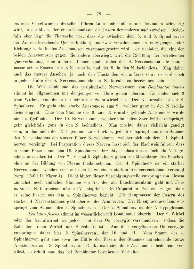 bis zum Verschwinden derselben führen kann, oder ob es nur besonders schwierig- wird, in der Masse der einen Commissur die Fasern der anderen nachzuweisen. Jeden- falls aber liegt die Thatsache vor, dass die zwischen dem 8. und 9. Spinalnerven der Anuren bestehende Querverbindung aus zwei verschiedenen in entgegengesetzter Richtung- verlaufenden Anastomosen zusammengesetzt wird. Je nachdem die eine der beiden Anastomosen gegen die andere überwiegt, wird die Richtung der betreffenden Querverbindung eine andere. Immer sendet dabei der 8. Nervenstamm die Haupt- masse seiner Fasern in den N. cruralis, und der 9. in den N. ischiadicus. Mag daher auch das äussere Ansehen je nach den Umständen ein anderes sein, so wird doch in jedem Falle der 8. Nervenstamm als der N. furcalis zu bezeichnen sein. Die Wirbelsäule und das peripherische Nervensystem von Bombinator igneiis stimmt im allgemeinen mit demjenigen von Bufo genau tiberein. Es finden sich 9 freie Wirbel, von denen der letzte der Sacralwirbel ist. Der N. furcahs ist der 8. Spinalnerv. Er giebt eine starke Anastomose zum 9., welcher ganz in den N. ischia- dicus eingeht. Eine vom Stamme des 9. zum N. cruralis gehende Anastomose wurde nicht aufgefunden. Der 10. Nervenstamm, welcher hinter dem Sacralwirbel entspringt, geht gleichfalls ganz in den N. ischiadicus. Man möchte daher vielleicht geneigt sein, in ihm nicht den N. bigeminus zu erblicken, jedoch entspringt aus dem Stamme des N, ischiadicus ein kurzer feiner Nervenstamm, welcher sich mit dem 11. Spinal- nerven vereinigt. Bei Präparation dieses Nerven lässt sich der Nachweis führen, dass er seine Fasern aus dem 10. Spinalnerven bezieht, so dass dieser doch als N, bige- minus anzusehen ist. Der 7., 6. und 5. Spinalnerv gehen zur Musculatur des Bauches, ohne an der Bildung von Plexus theilzunehmen. Der 4. Spinalnerv ist ein starker Nervenstamm, welcher sich mit dem 3. zu einem starken Armnervenstamme vereinigt (vergl. Tafel II, Figur 4), Dicht hinter dieser Vereinigungsstelle entspringt von diesem zunächst noch einfachen Stamme ein Ast der zur Bauchmusculatur geht und Für- bringer's N. thoracicus inferior IV entspricht. Bei Präparation lässt sich zeigen, dass er seine Fasern aus dem 4. Spinalnerven bezieht. Die Hauptmasse der Fasern des starken 4. Nerven Stammes geht aber zu den Armnerven. Der N. supracoracoideus ent- springt vom Stamme des 3. Spinalnerven. Der 2. Spinalnerv ist der N. hypoglossus. Pelohates fuscus stimmt im wesentlichen mit Bombinator überein. Der 9. Wirbel oder der Sacralwirbel ist jedoch mit dem Os coccygis verschmolzen, sodass die Zahl der freien Wirbel auf 8 reducirt ist. Aus dem vergrösserten Os coccygis entspringen daher hier 2 Spinalnerven, der 10. und 11. Vom Stamm des 4. Spinalnerven geht eine etwa die Hälfte der Fasern des Stammes aufnehmende kurze Anastomose zum 3, Spinalnerven. Denkt man sich diese Anastomose bedeutend ver- kürzt, so erhält man das bei Bombinator bestehende Verhalten.
